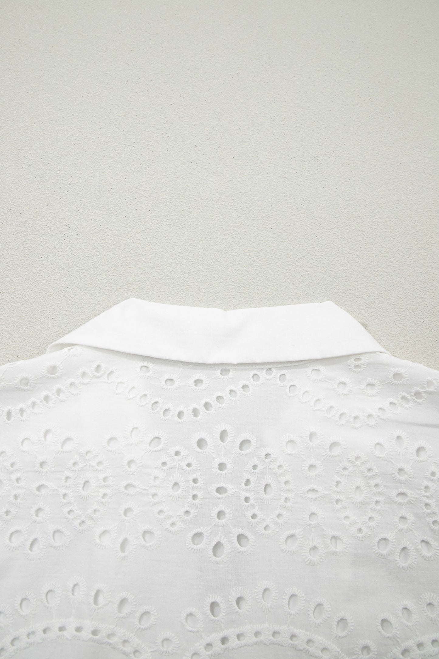 Solid Embroidered Eyelet Collared V-Neck Mini Dress