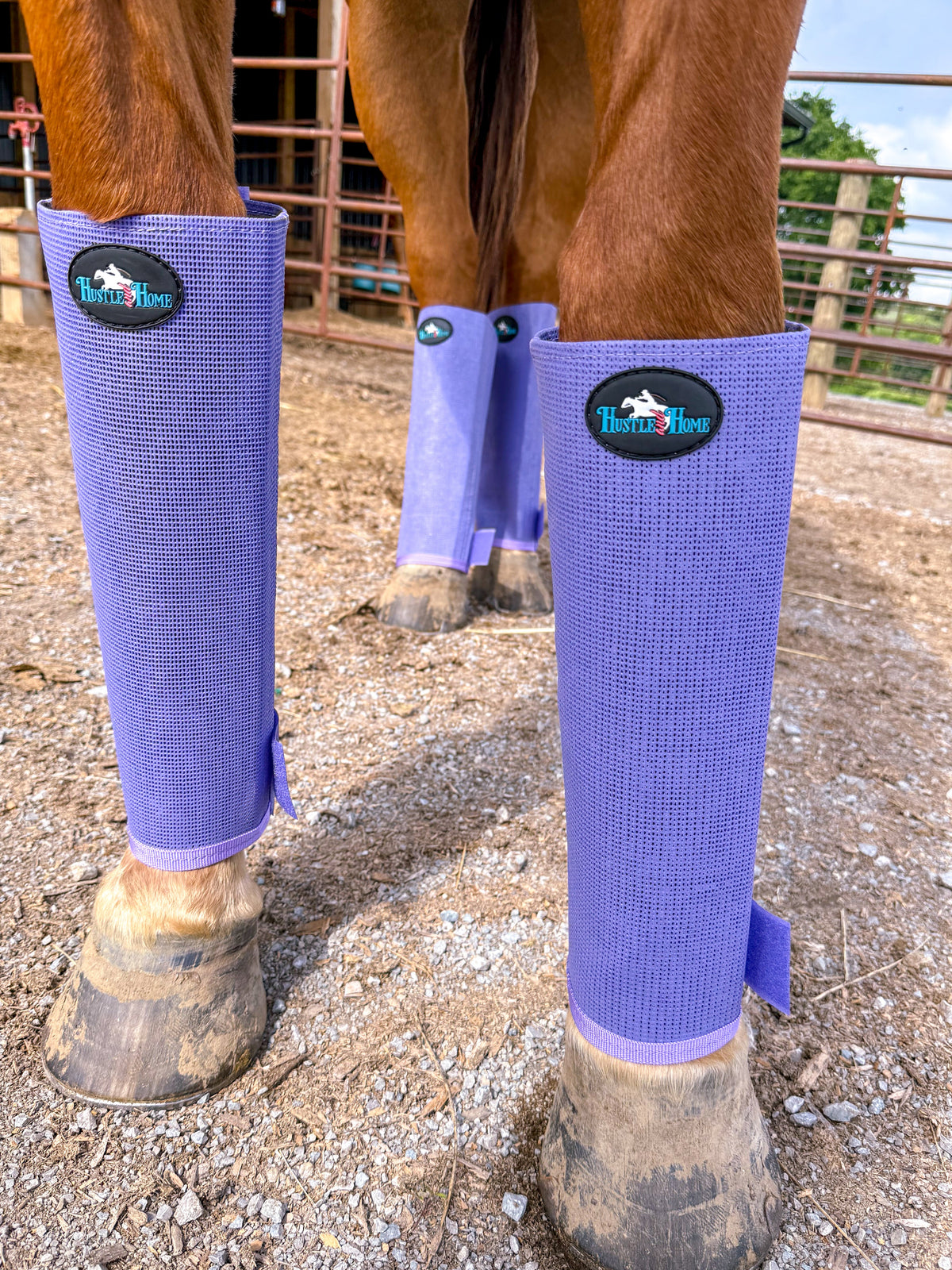 Lavender Stomp Stopper Fly Boots
