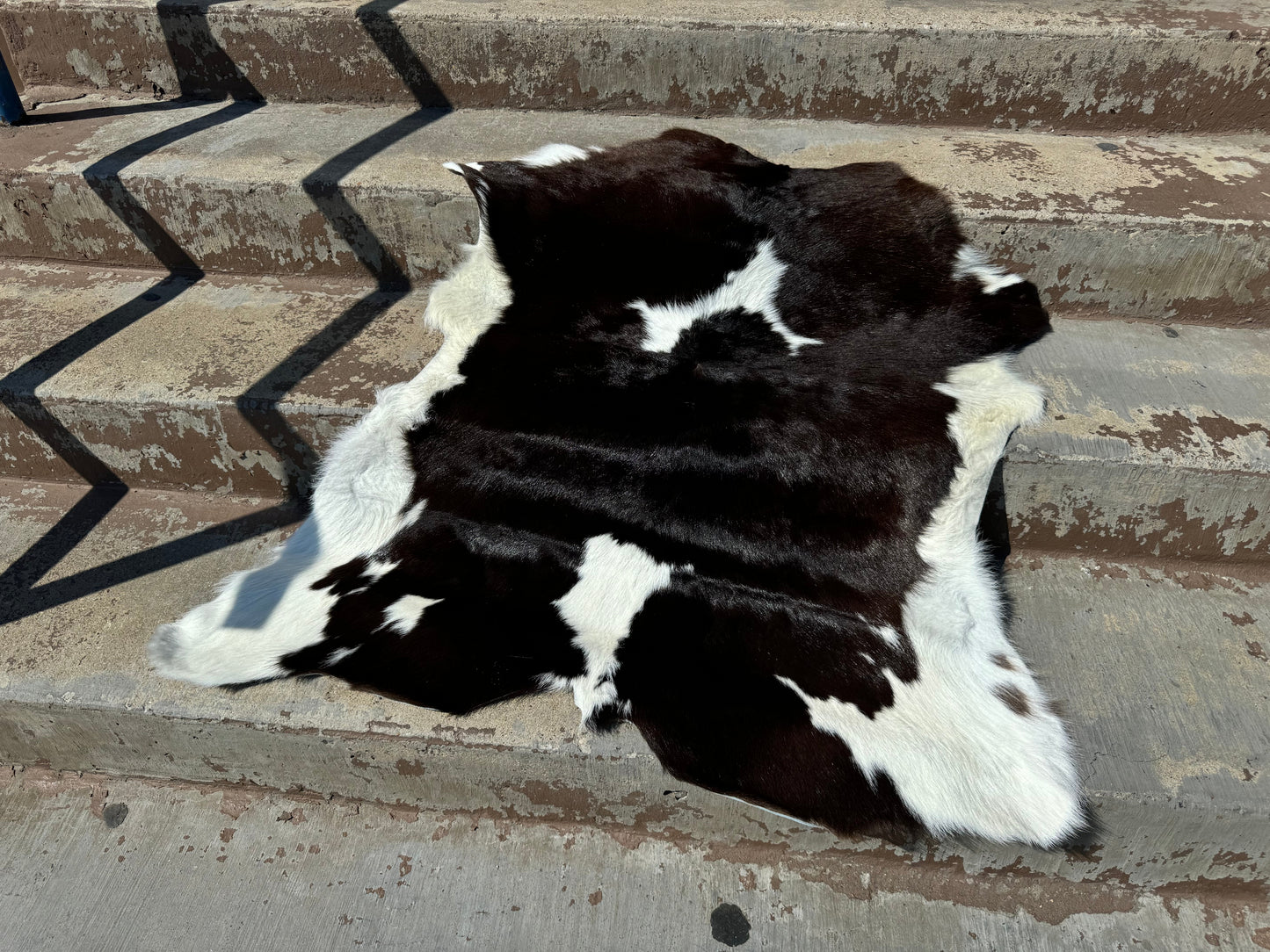 Calf hides - Best Sellers