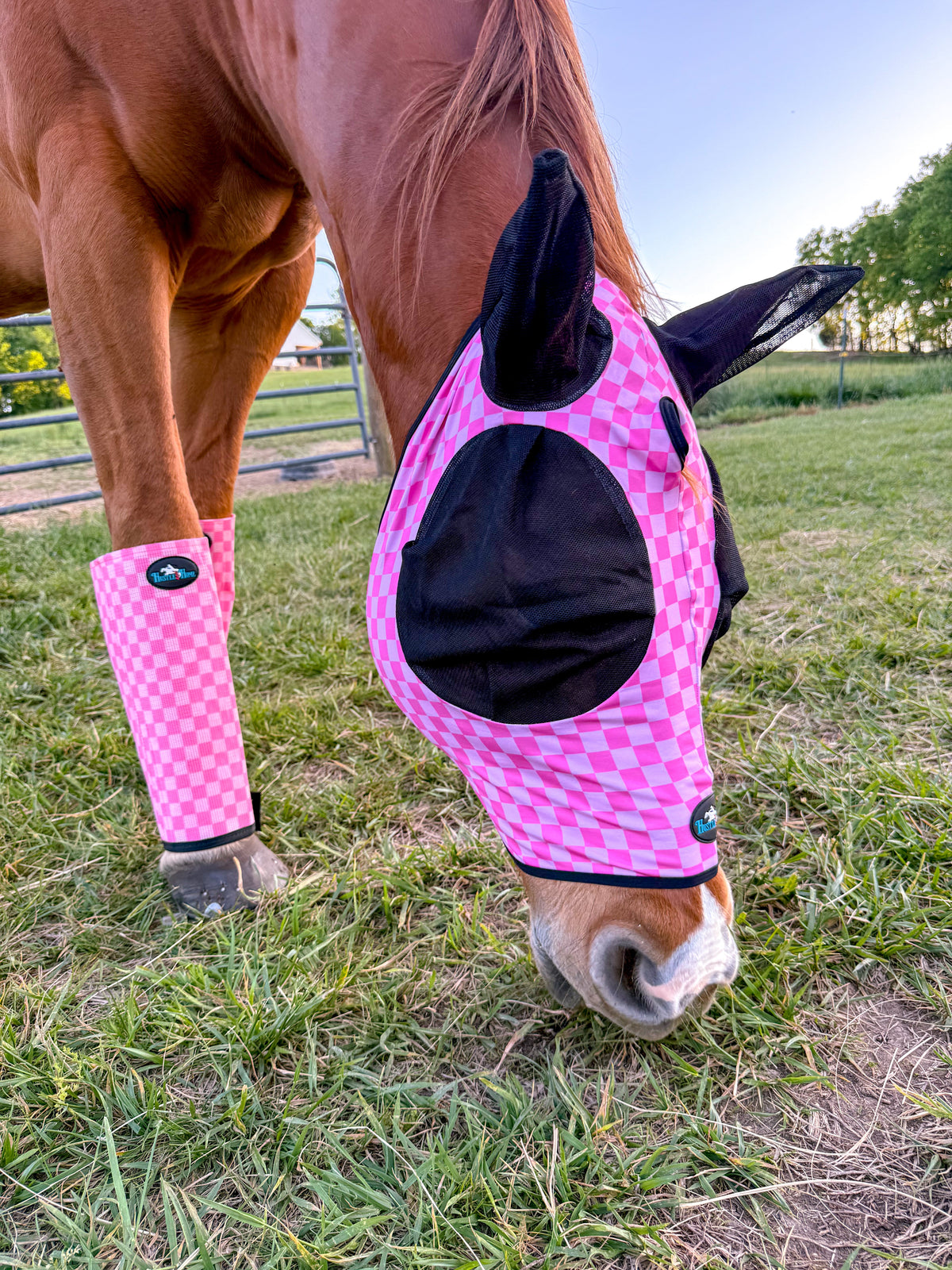 Checks Out Pink/Pink Stomp Stopper Fly Boots