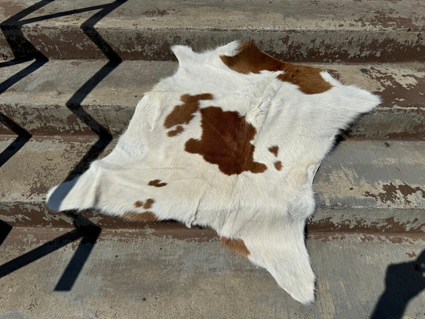 Calf hides - Best Sellers