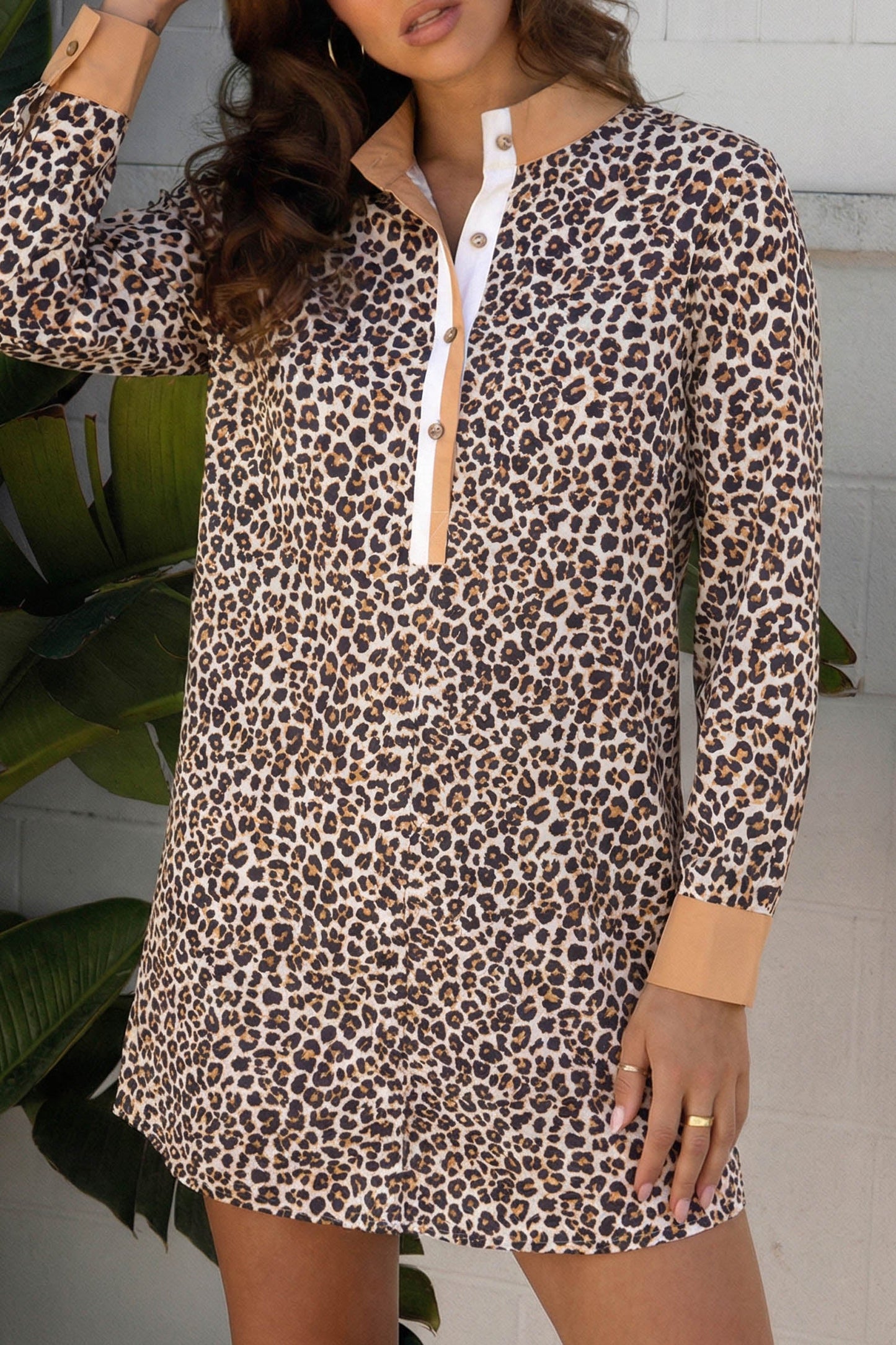 Leopard Stripe Collar Half Buttoned Flared Dress