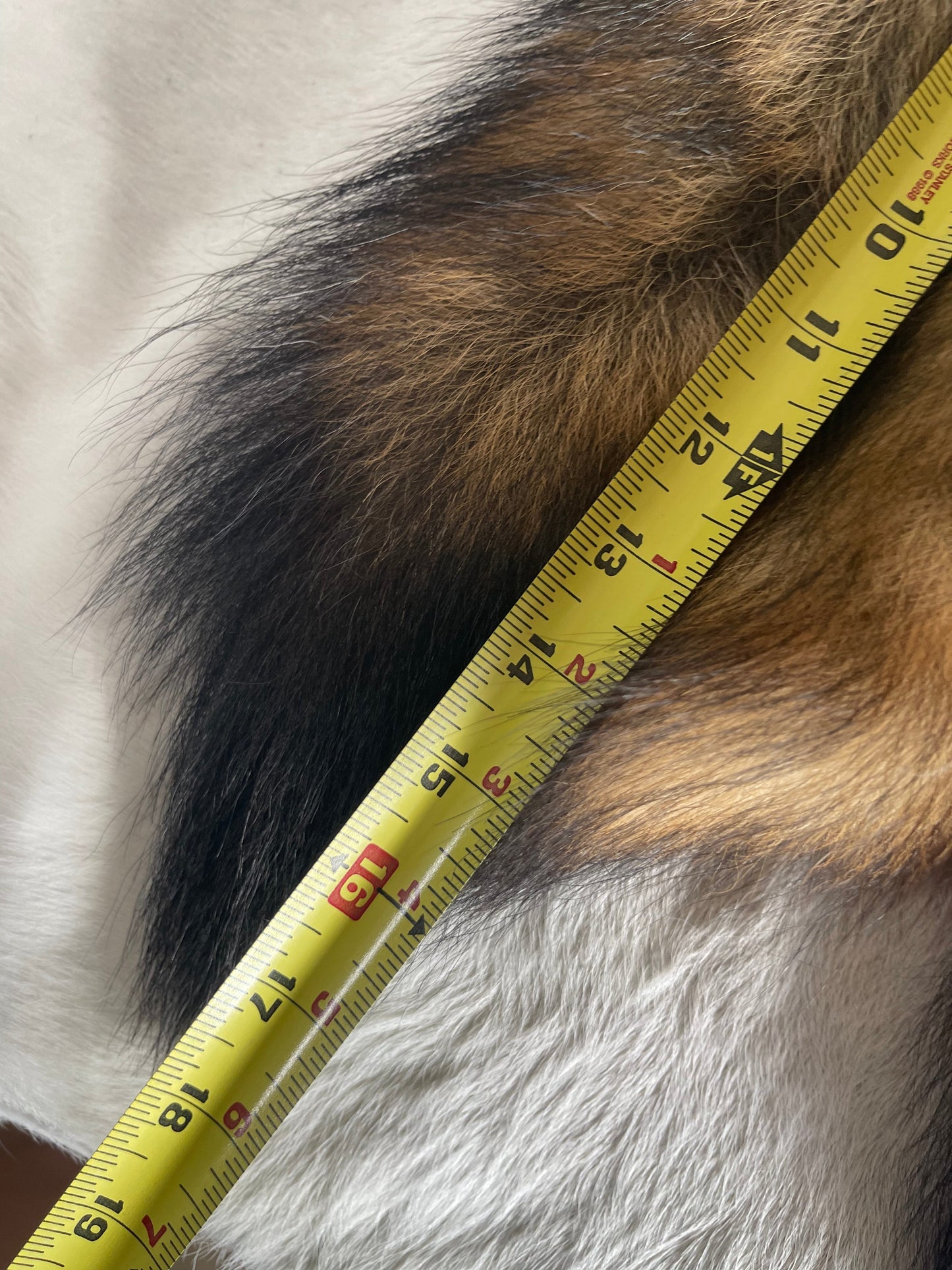 Coyote Tail Keychain