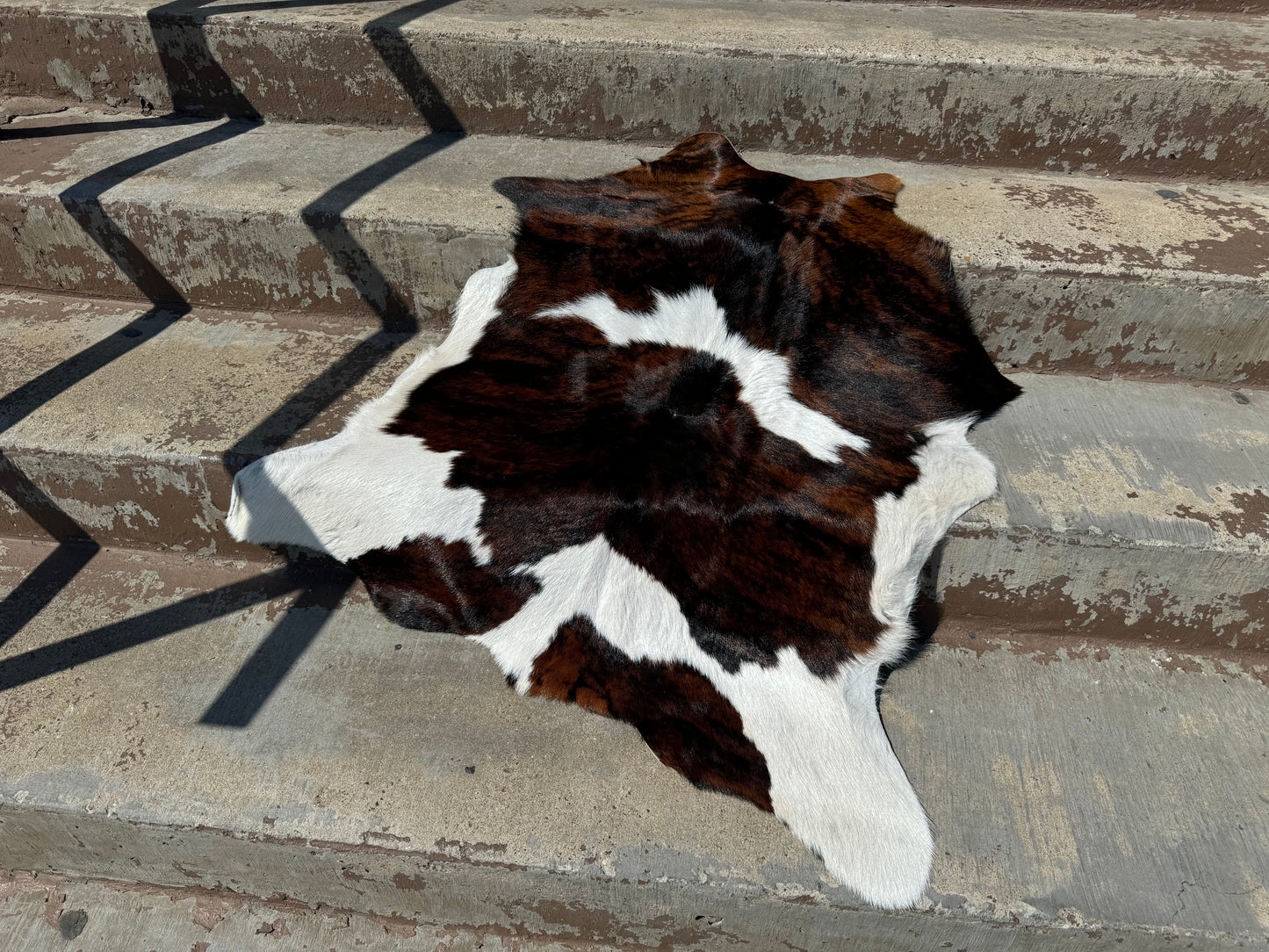 Calf hides - Best Sellers