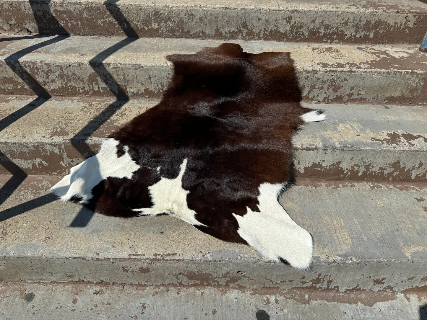 Calf hides - Best Sellers