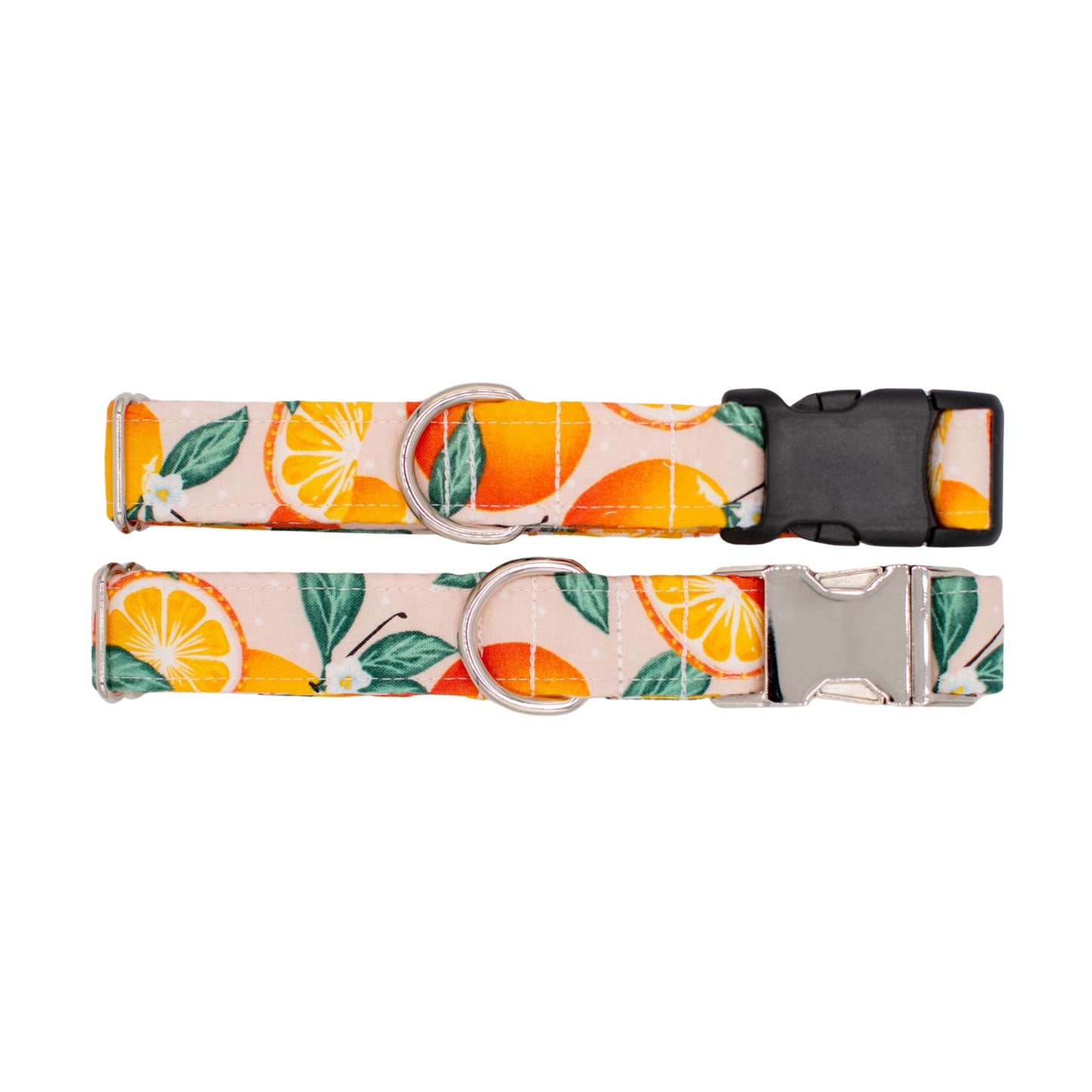 Oranges Dog Collar