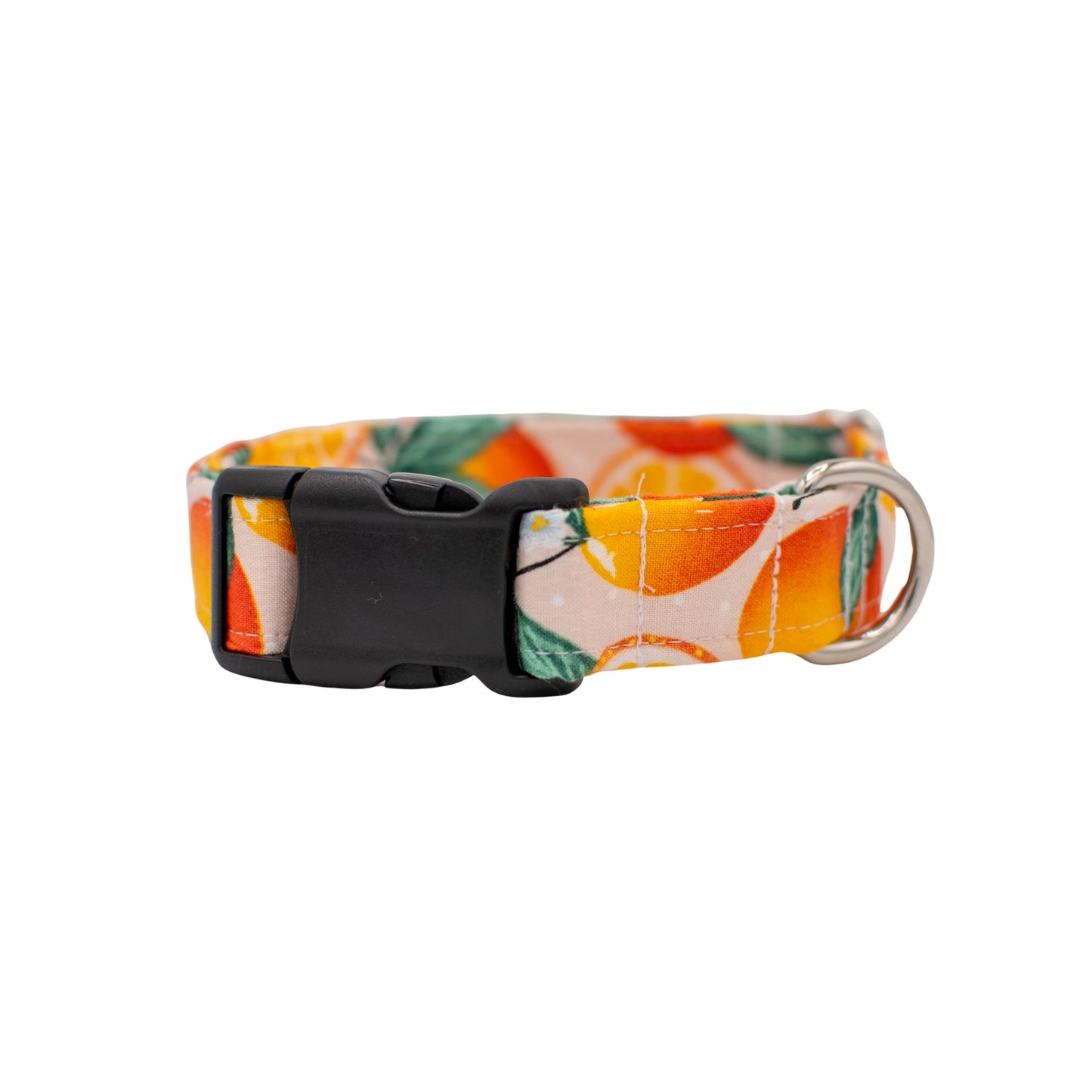 Oranges Dog Collar