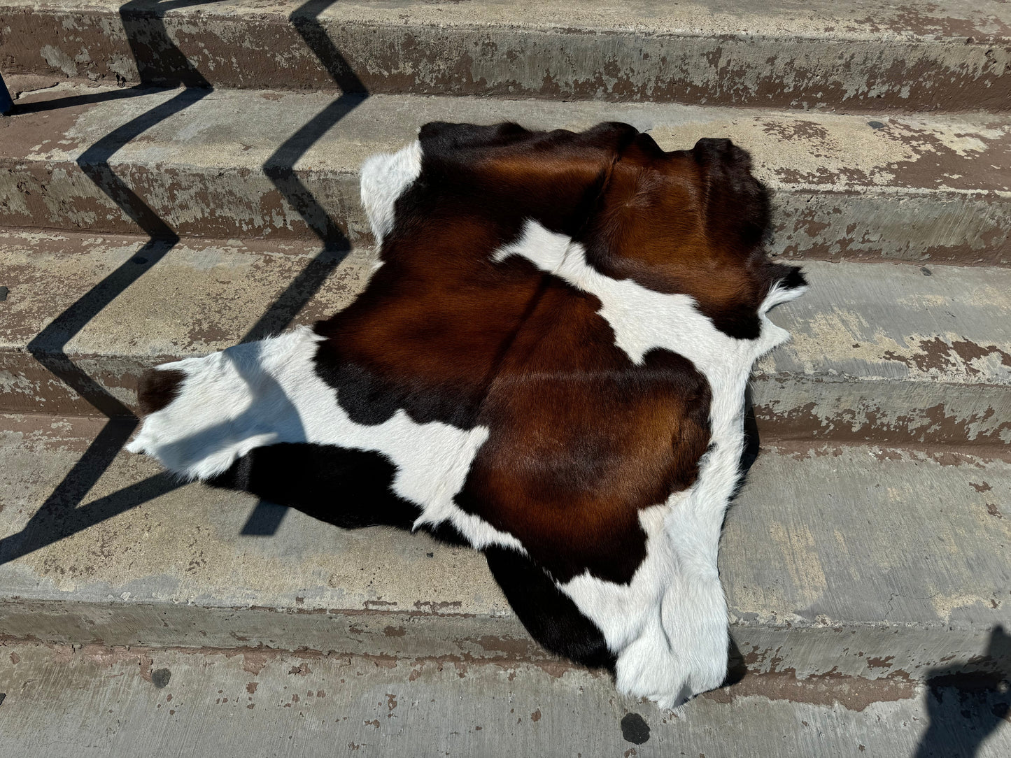 Calf hides - Best Sellers