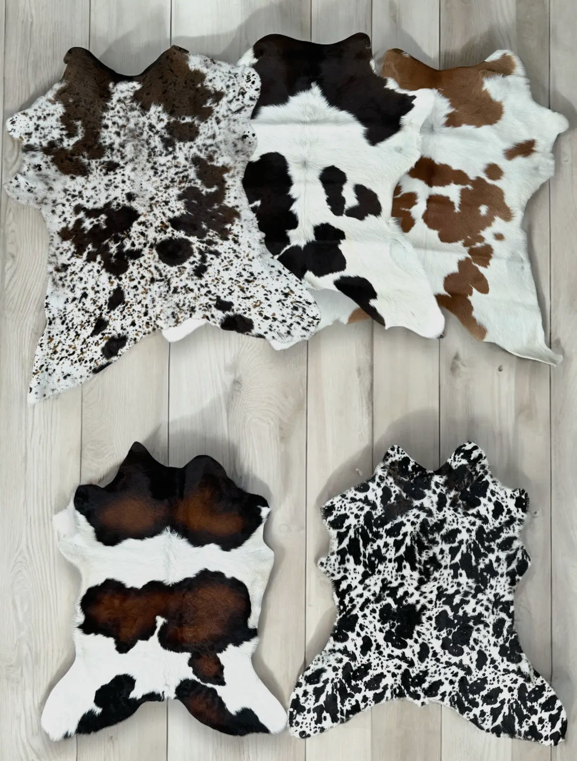 Calf hides - Best Sellers