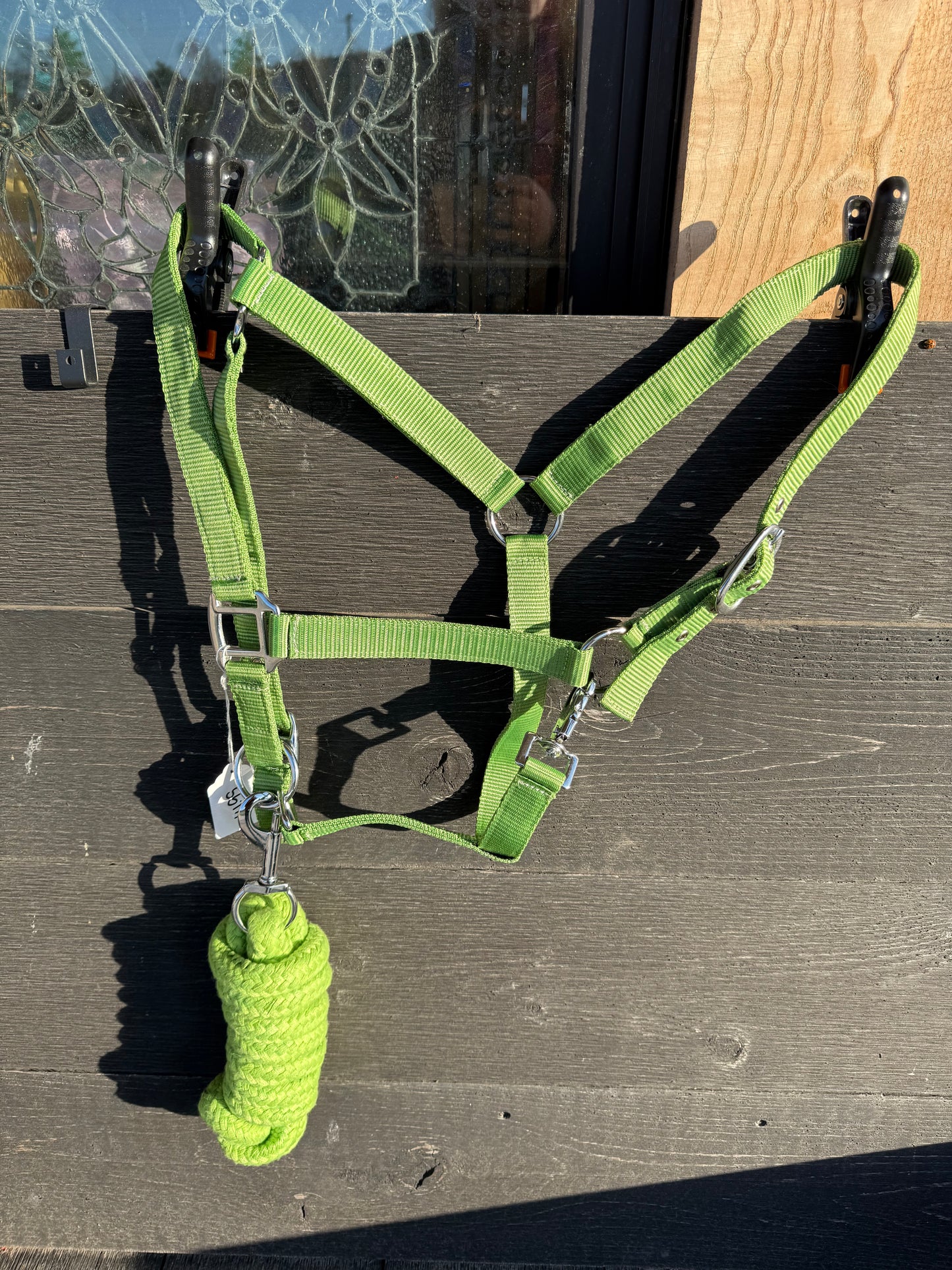 Nylon Horse Size Halter and 8 Foot lead rope