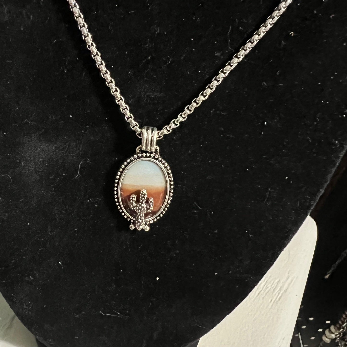 Cactus Sunset Snake Chain Necklace - Silver Plated 24 inch