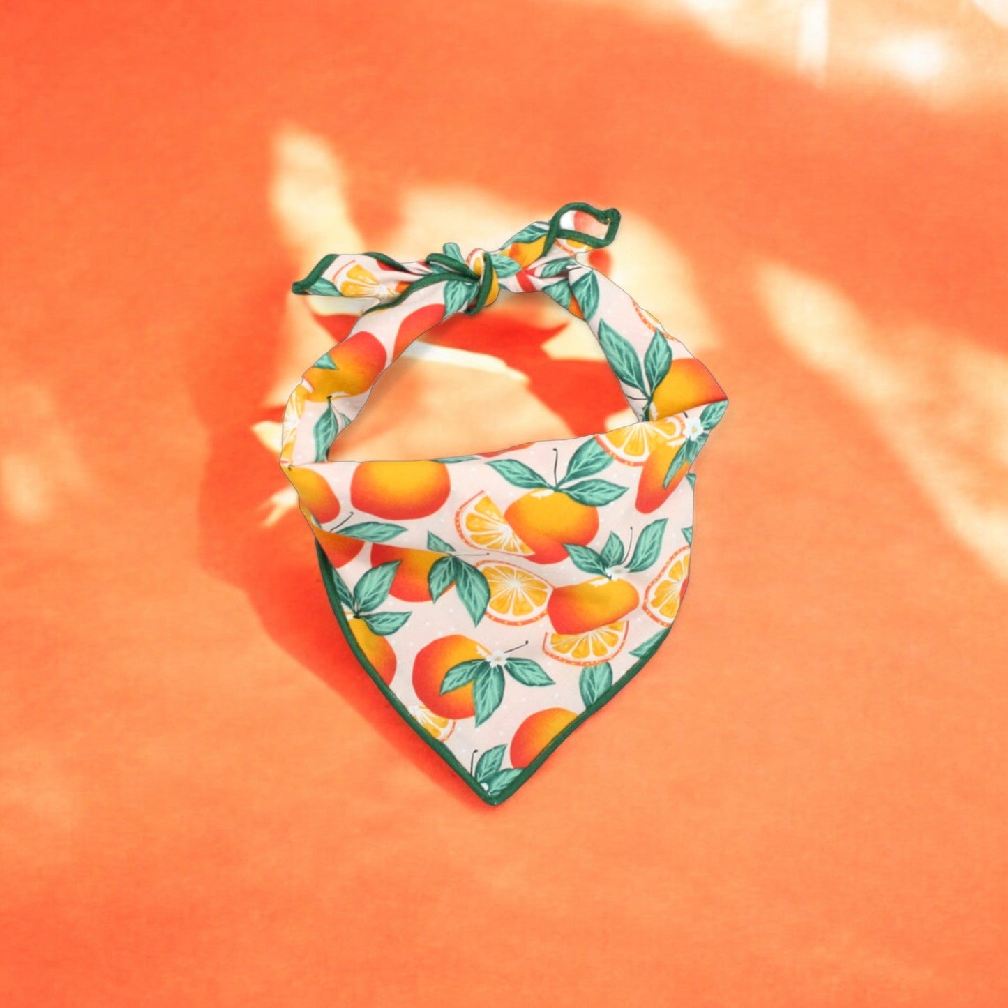 Oranges Dog Bandana