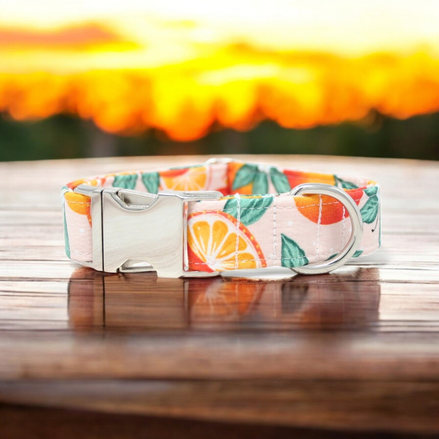 Oranges Dog Collar