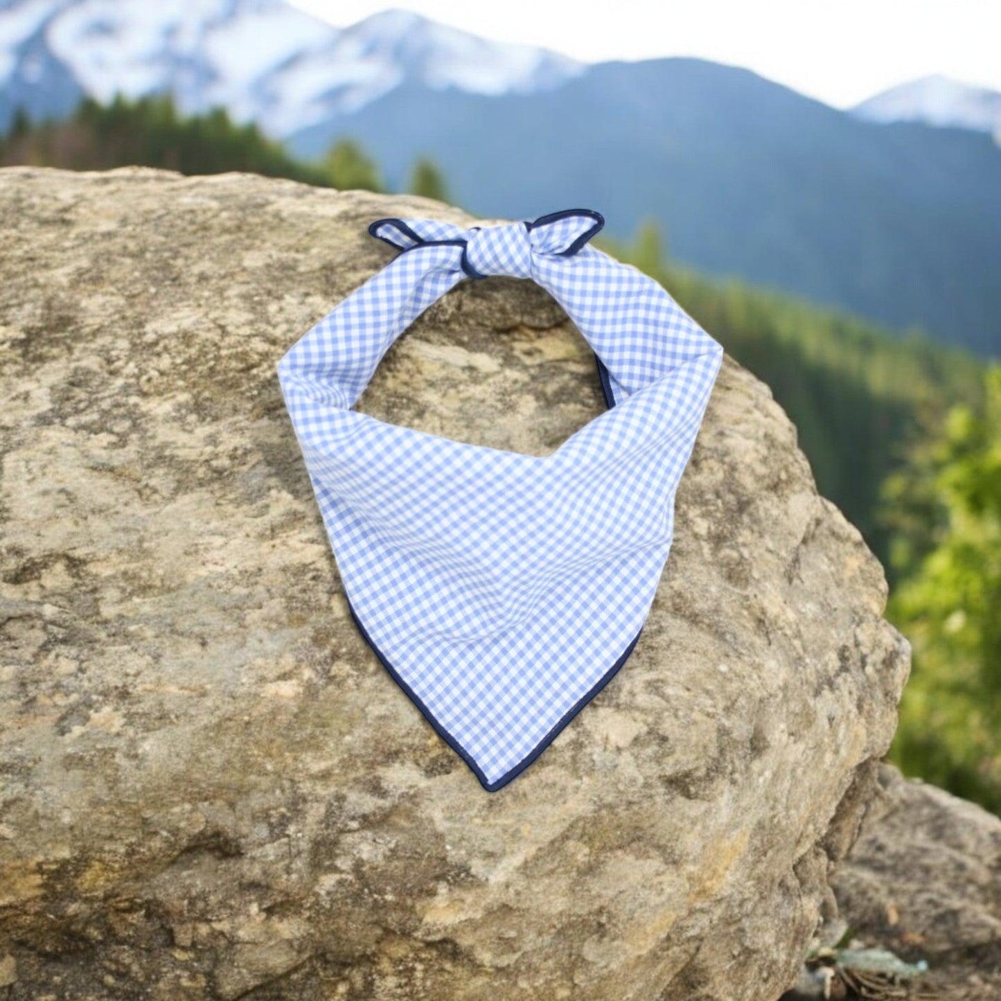 Light Blue Gingham Dog Bandana