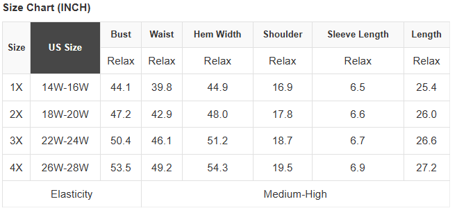Plus Size Sheer Mesh Panel Short Sleeve Top