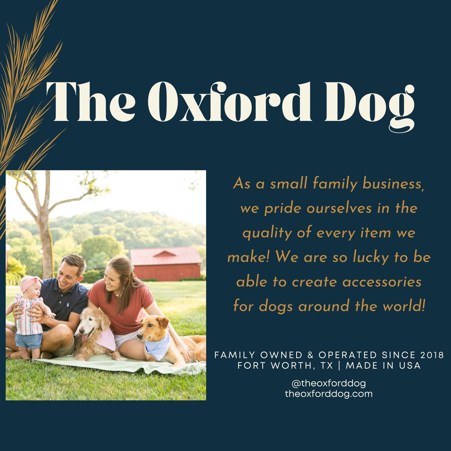 Navy Gingham Dog Collar