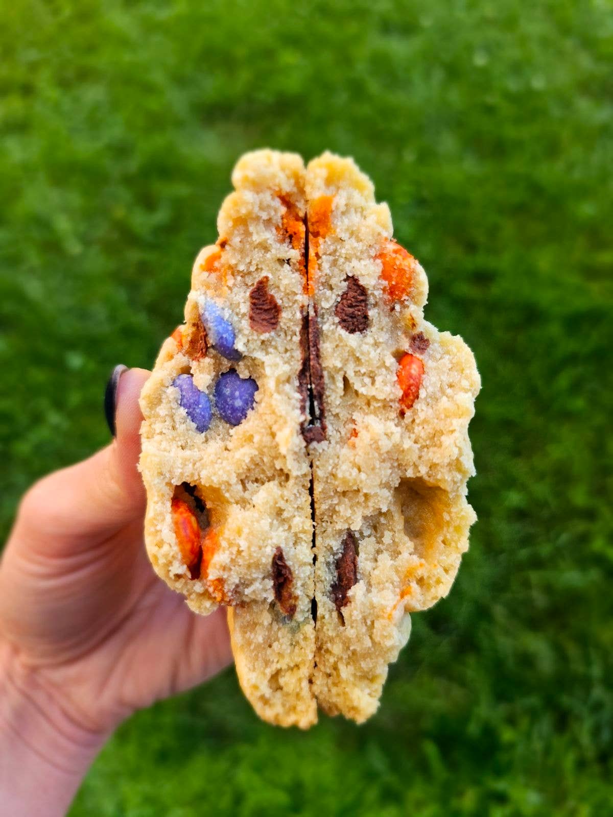 Party Remix (M&M's) by My Big Fat Cookie