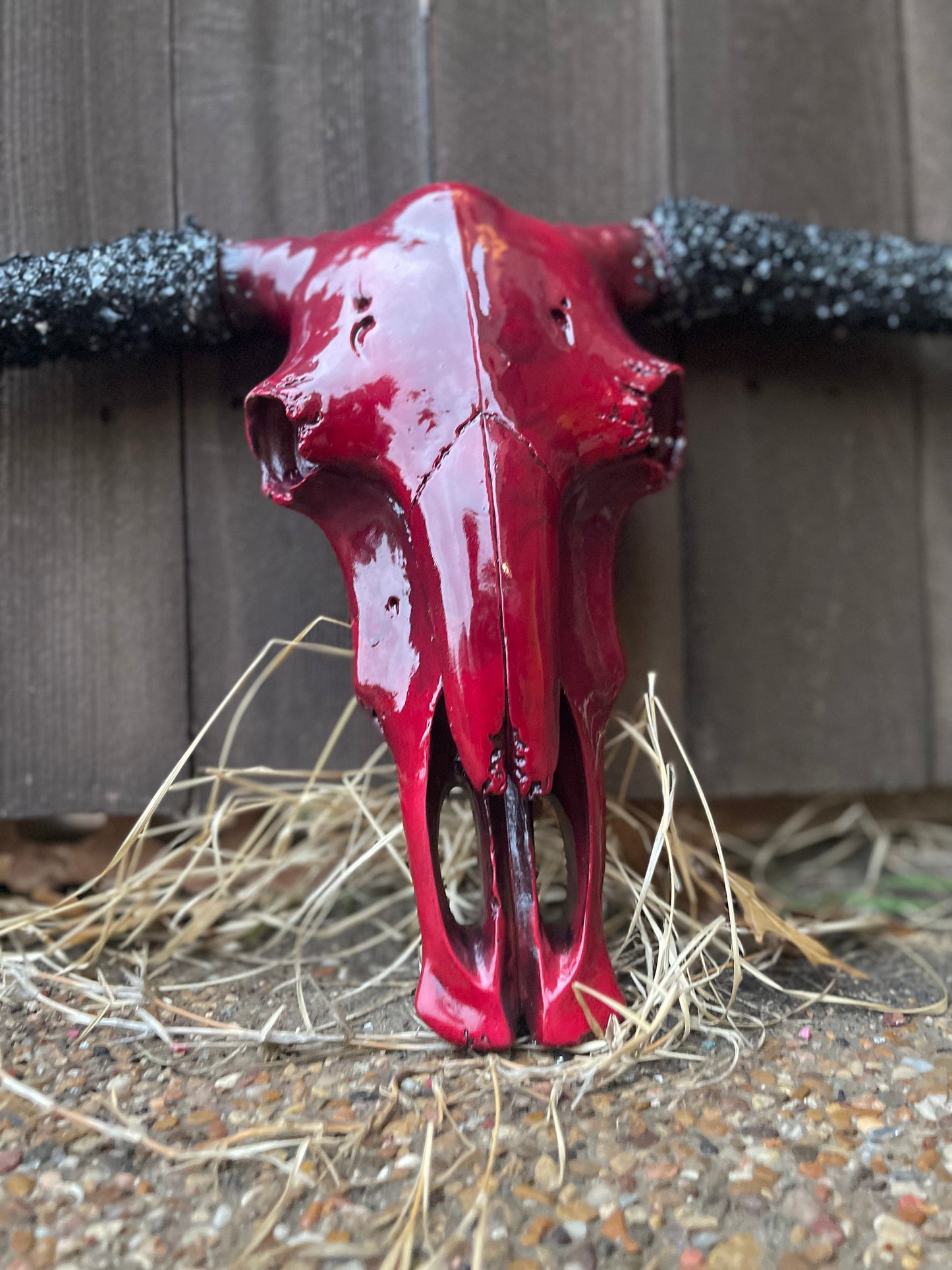 Crimson Stoned Horn Cowskull