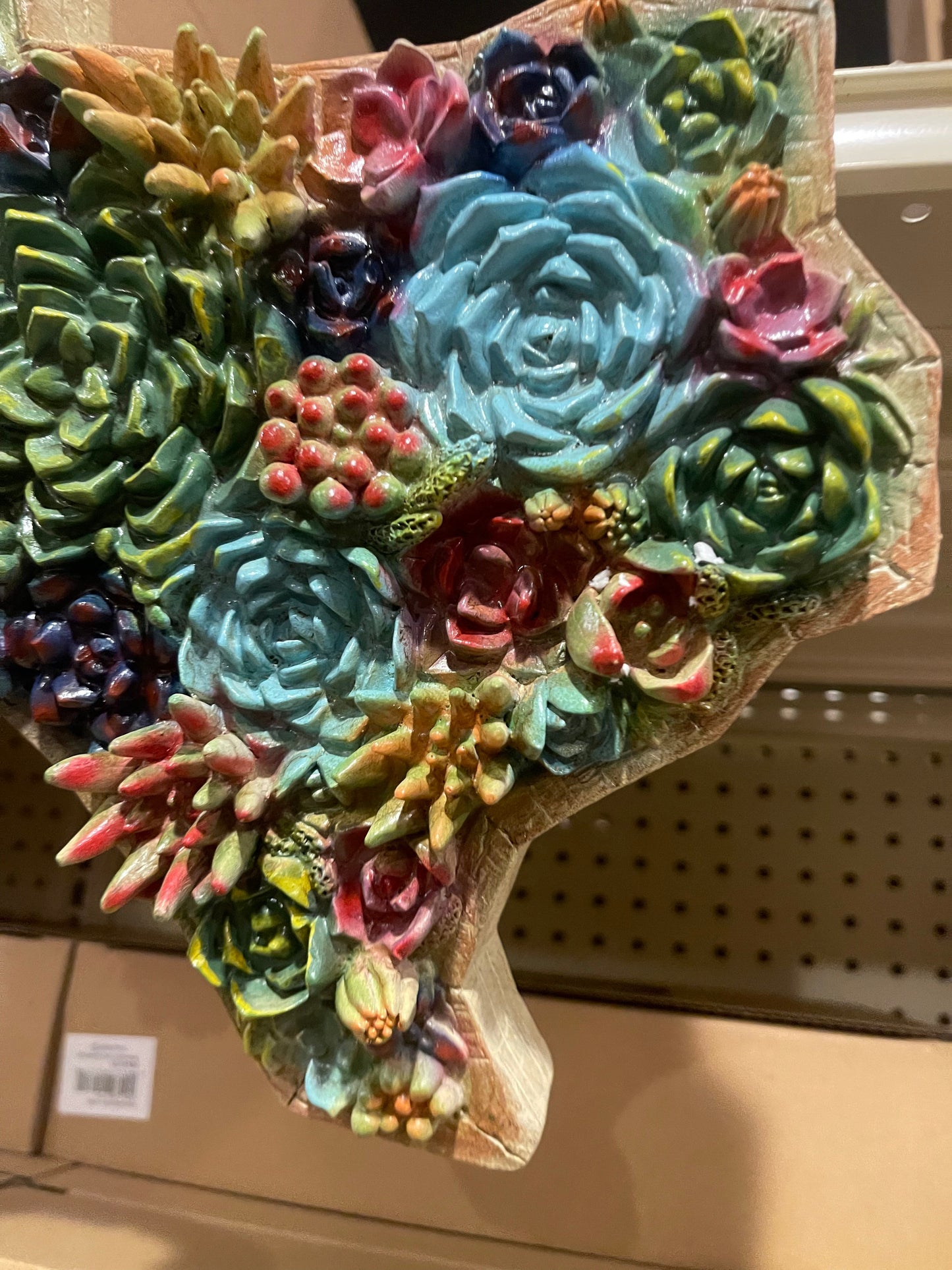 Texas Succulent Cactus Wall Decor