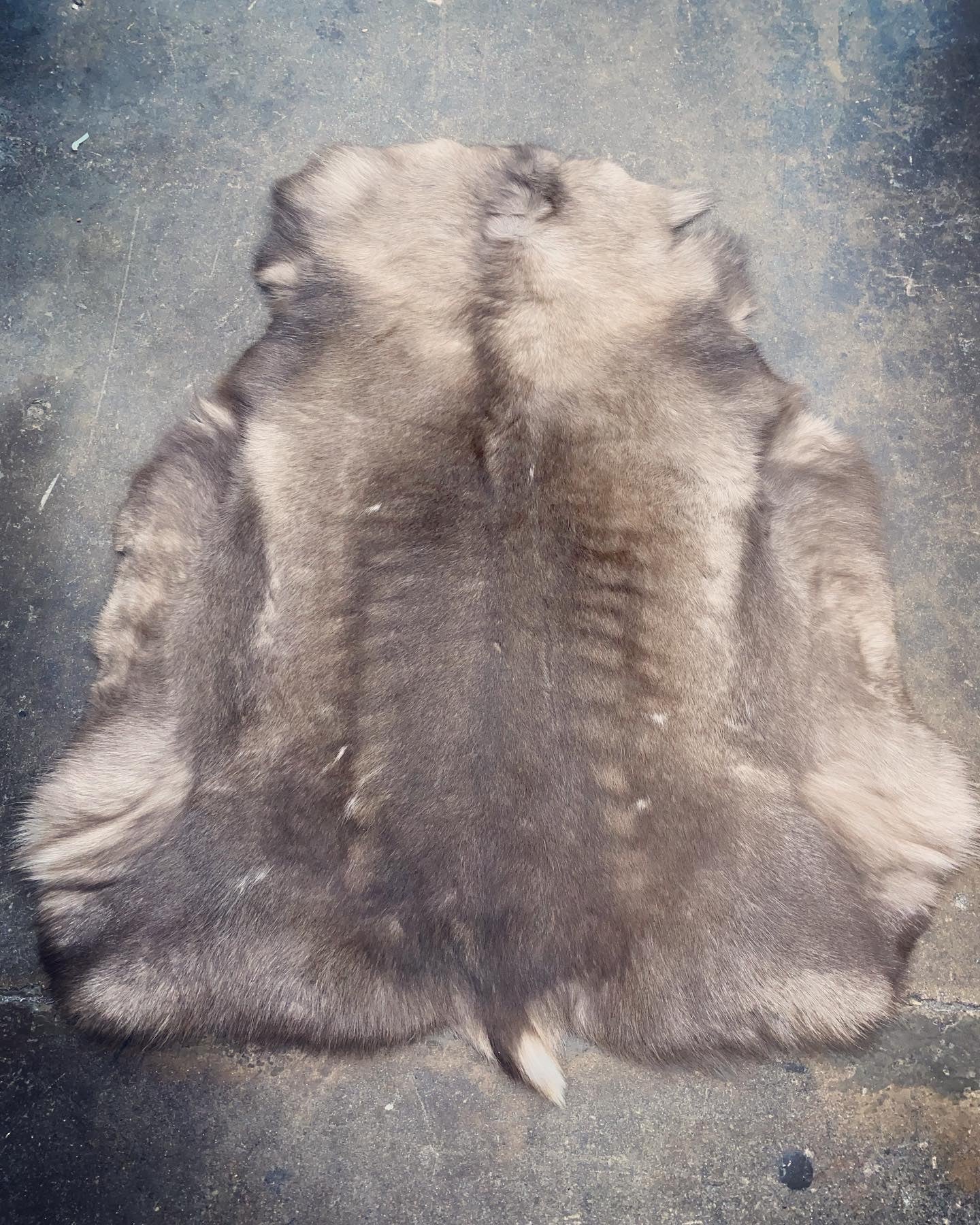 Large Reindeer Hide A Grade