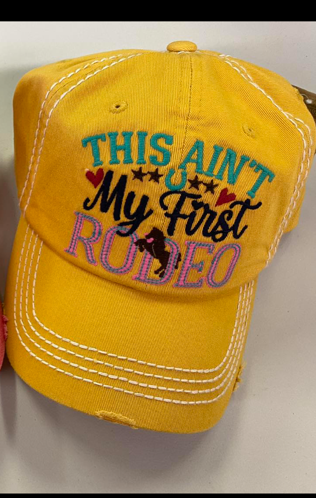 Pony Tail and Other Ball Caps!! Western, American Flag and so much more