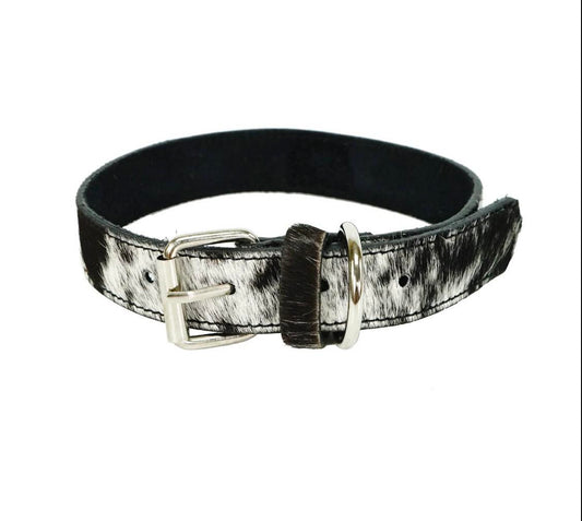Dog Collars- Hair on Hide Cow print