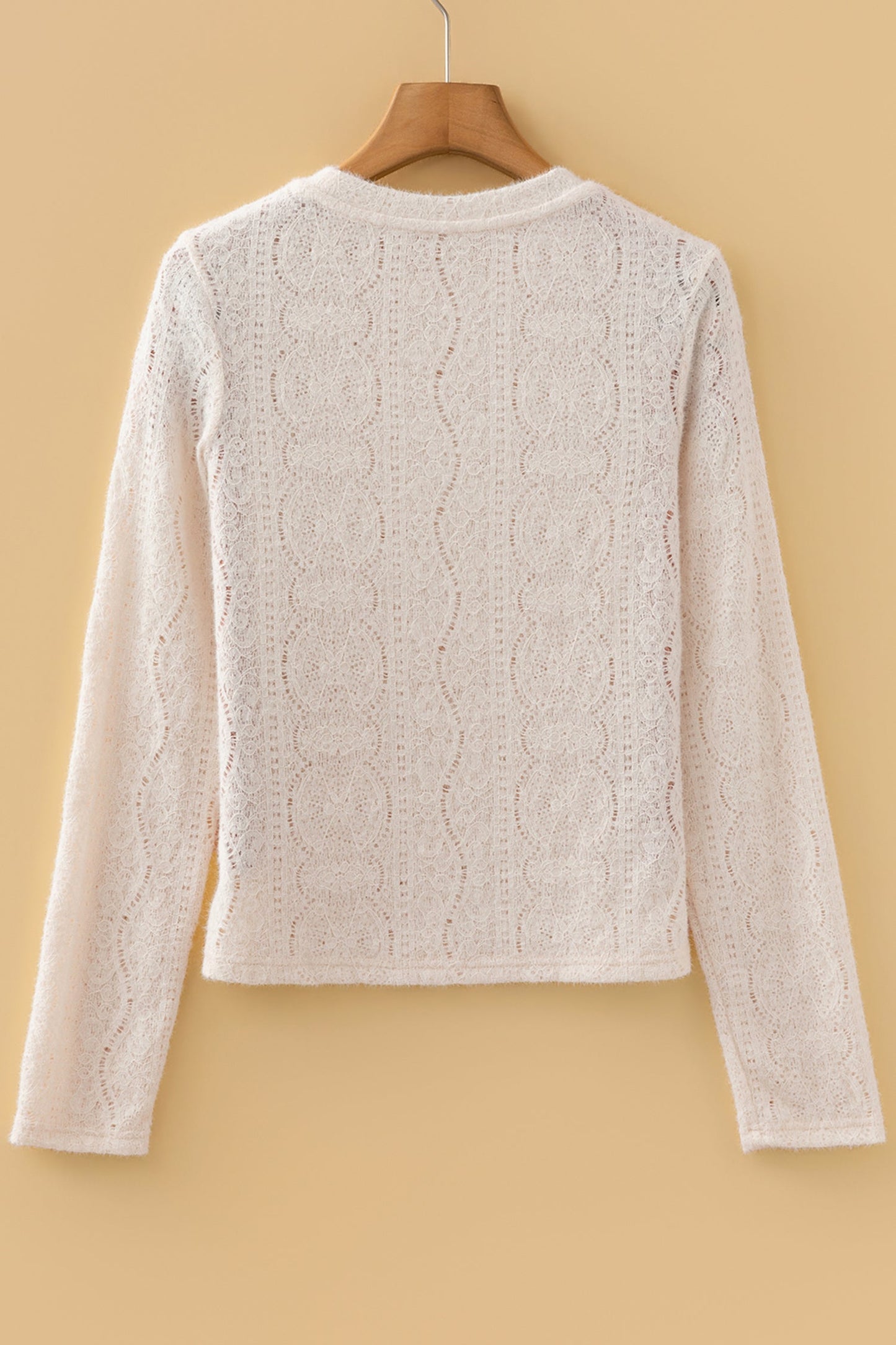 Semi Sheer Lace Long Sleeve Cropped Top