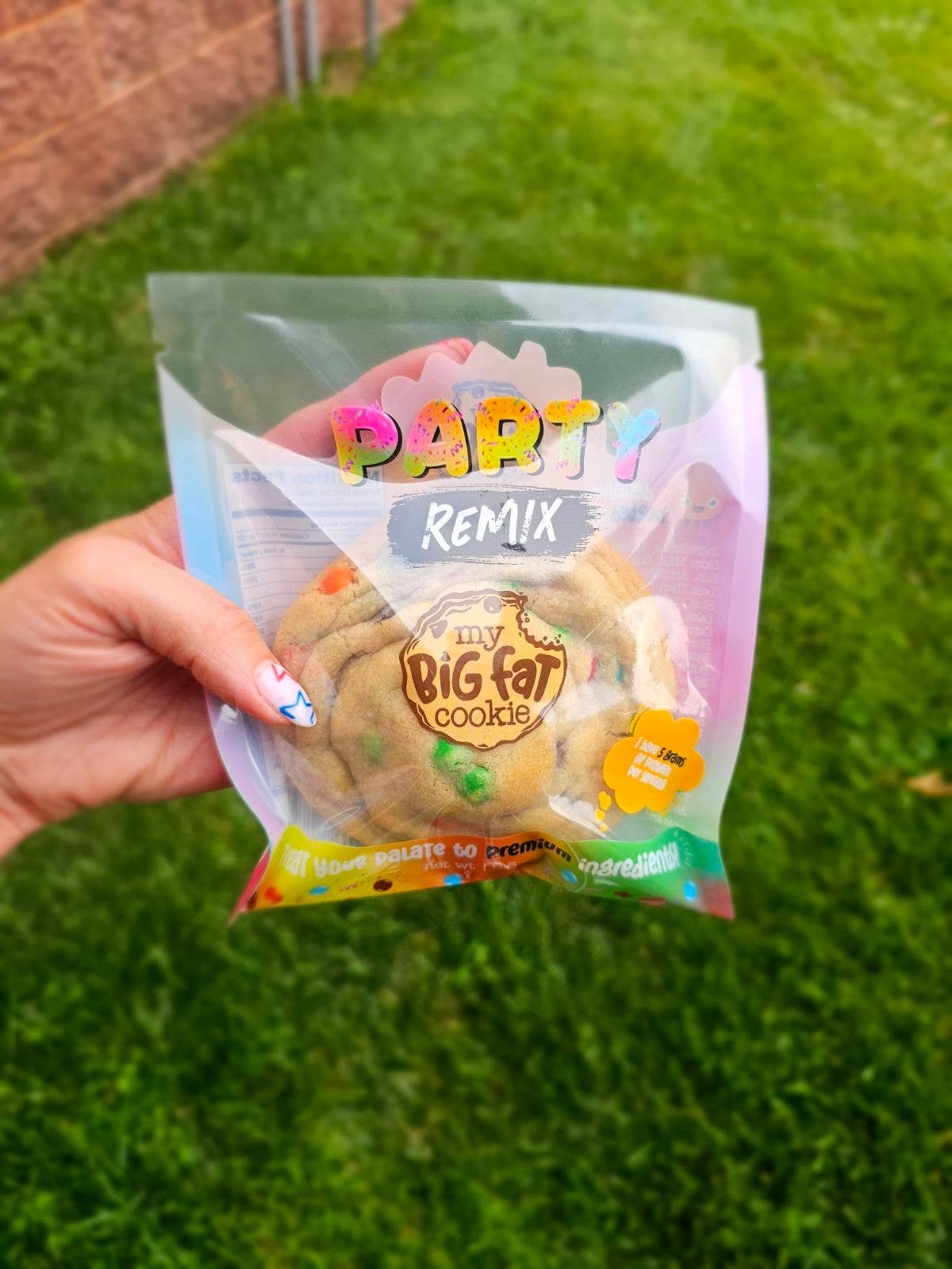 Party Remix (M&M's) by My Big Fat Cookie