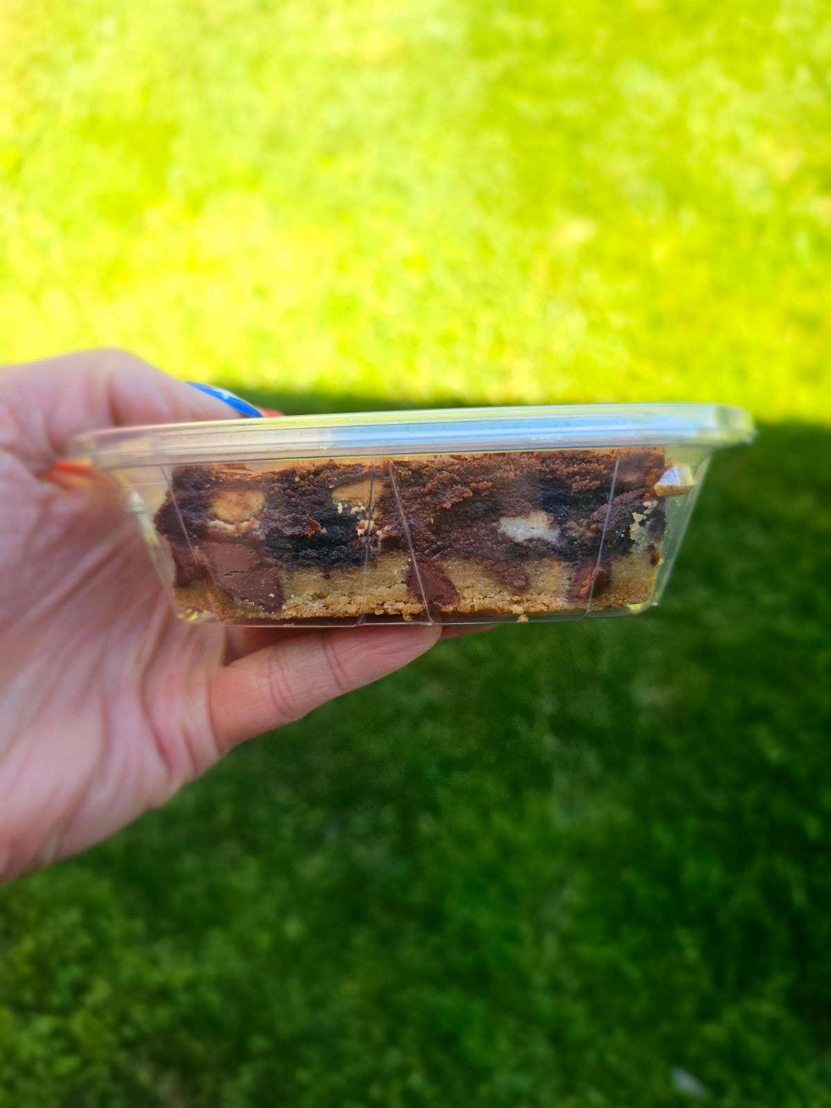 Brownie: Do Me Dirty