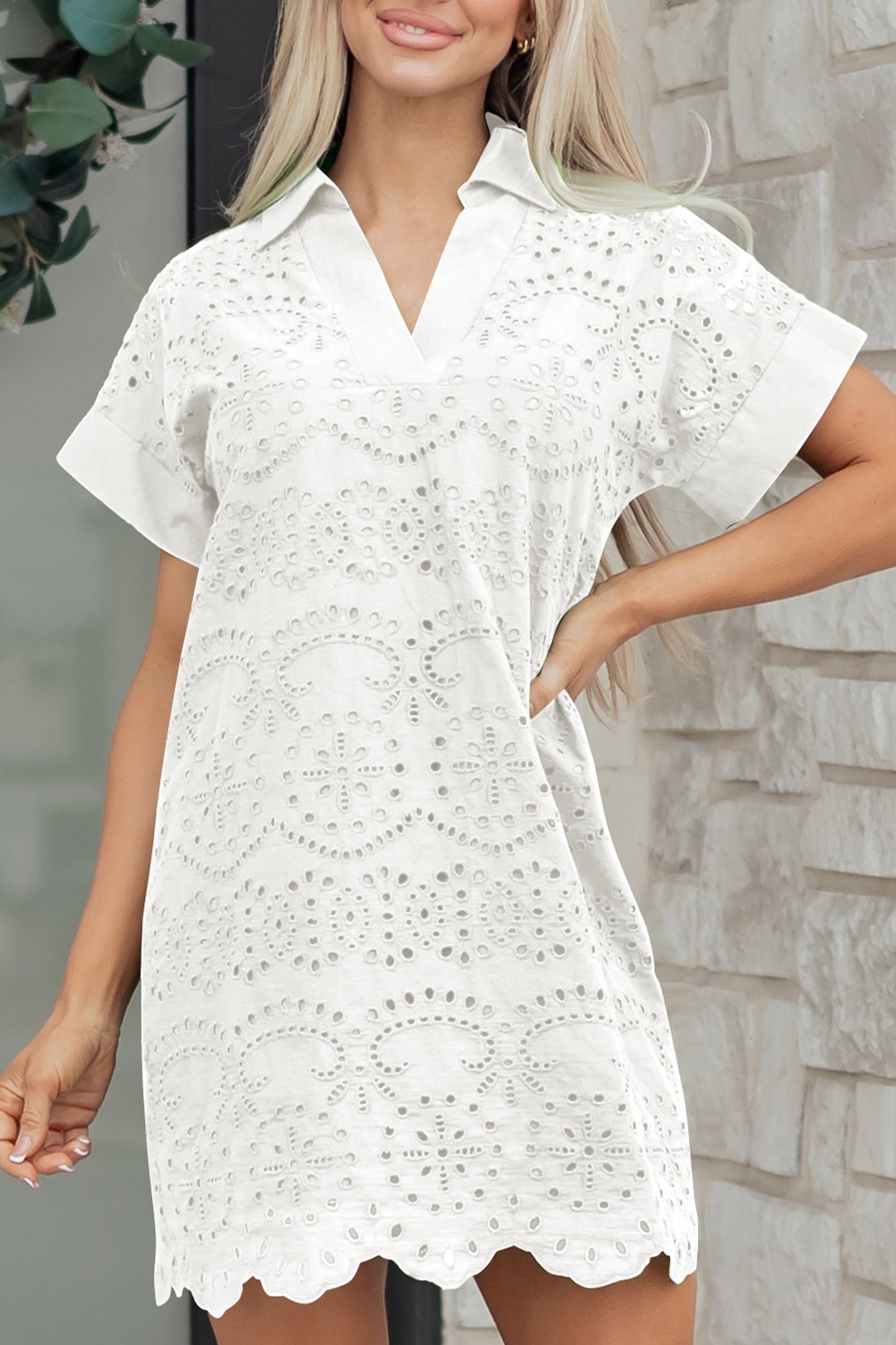 Solid Embroidered Eyelet Collared V-Neck Mini Dress