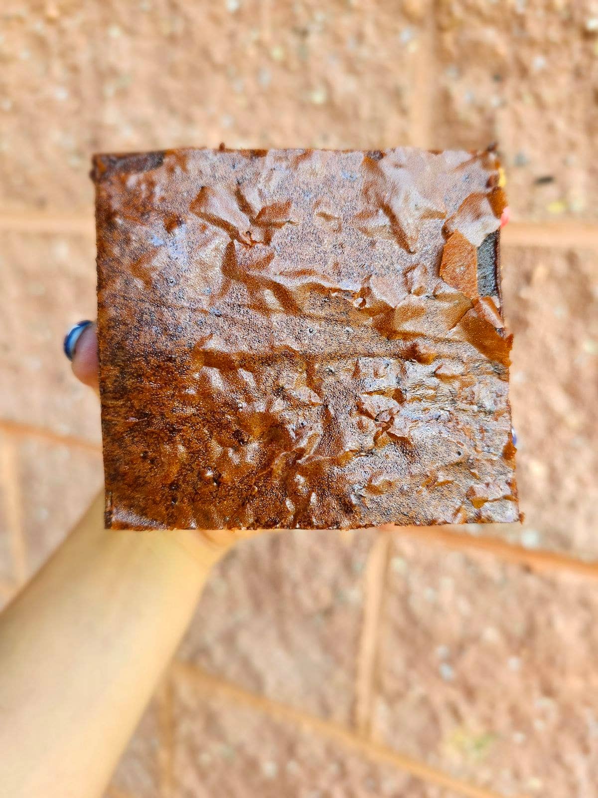 Brownie: Do Me Dirty