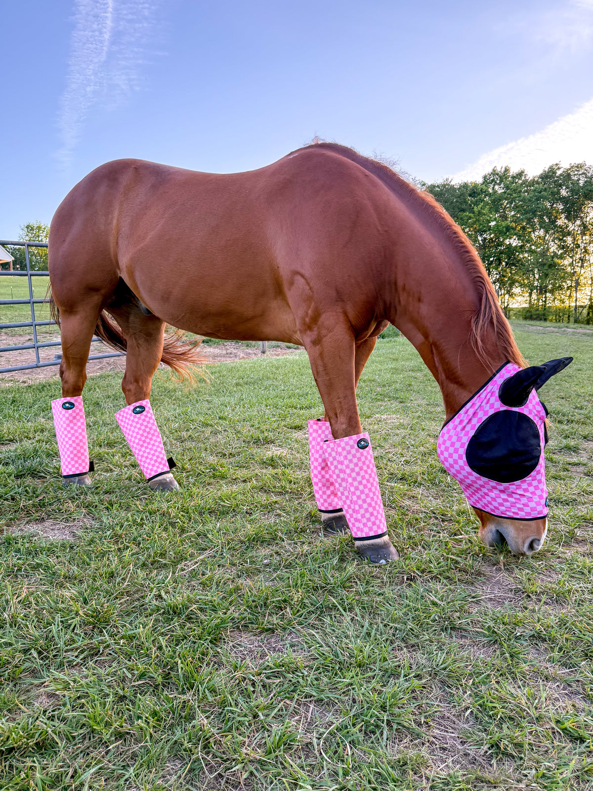 Checks Out Pink/Pink Stomp Stopper Fly Boots