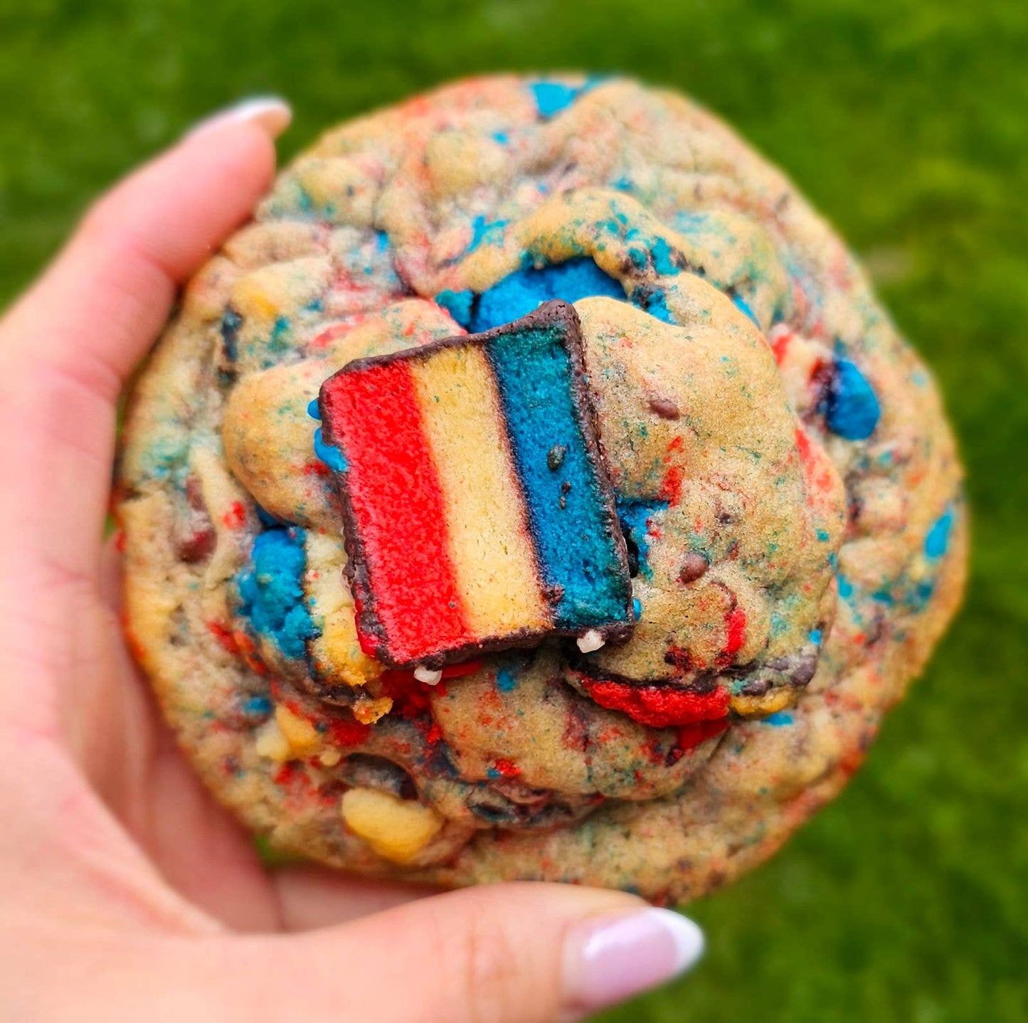 Rainbow Remix Patriotic by My Big Fat Cookie