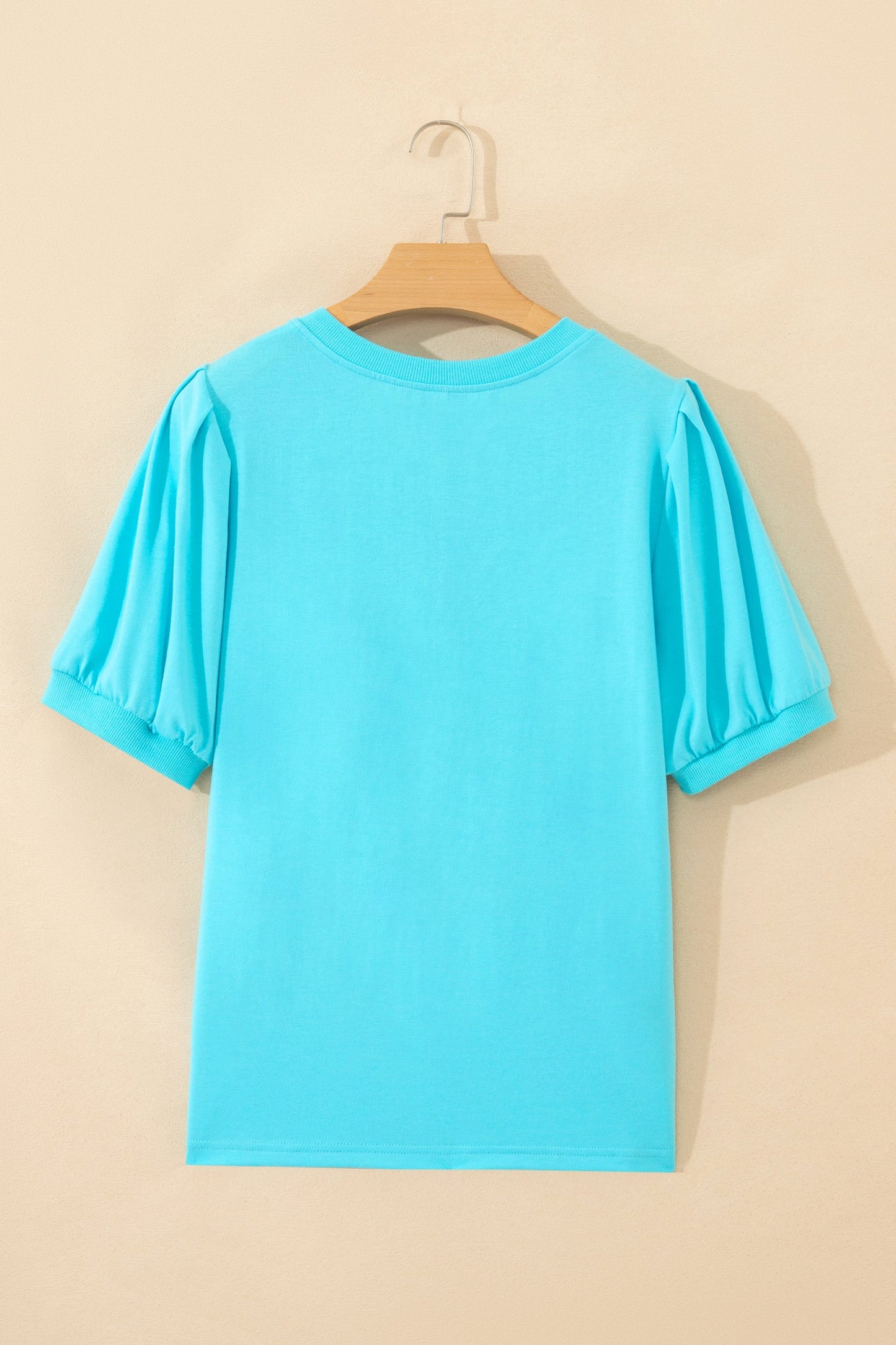 Solid V-Neck Short Puff Sleeve Blouse