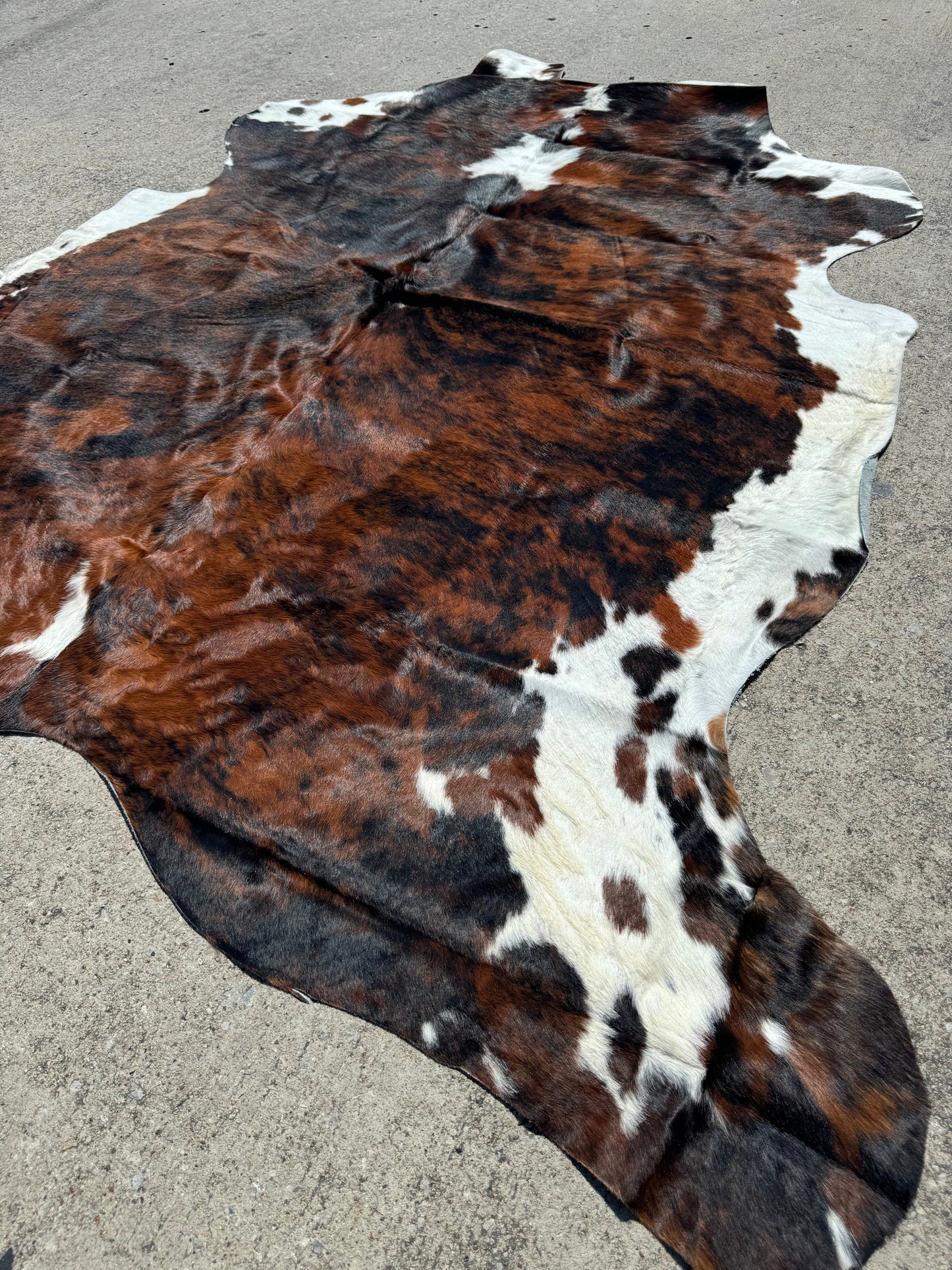 Tricolor Cowhide