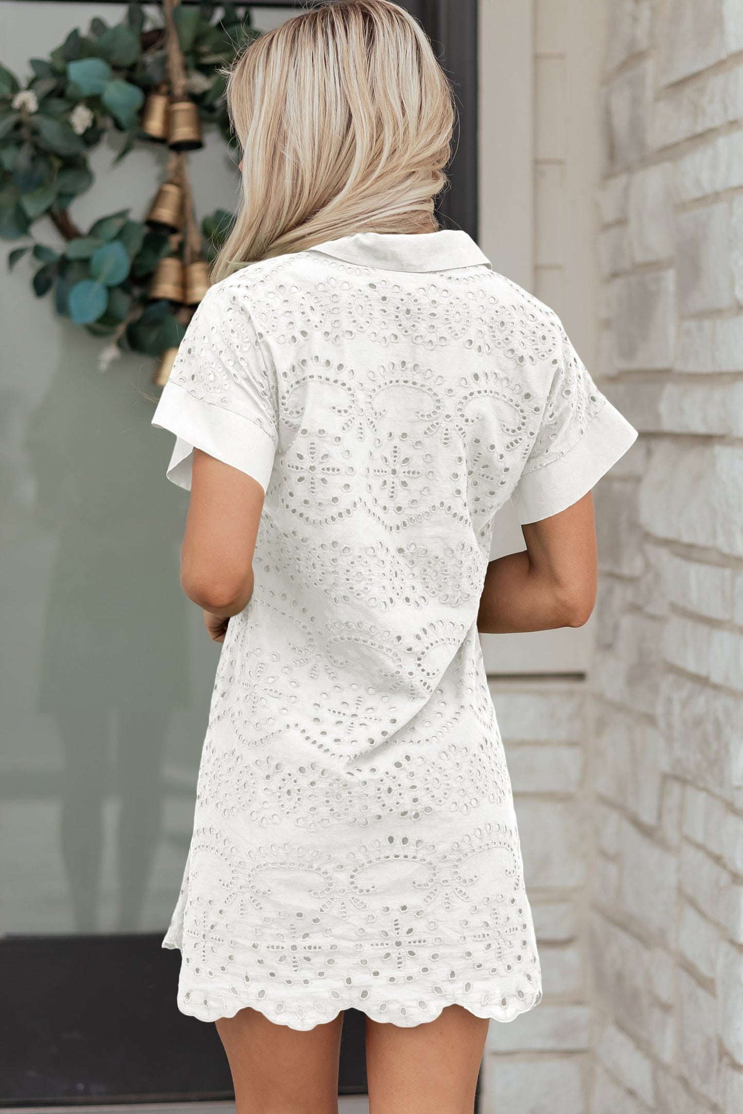 Solid Embroidered Eyelet Collared V-Neck Mini Dress