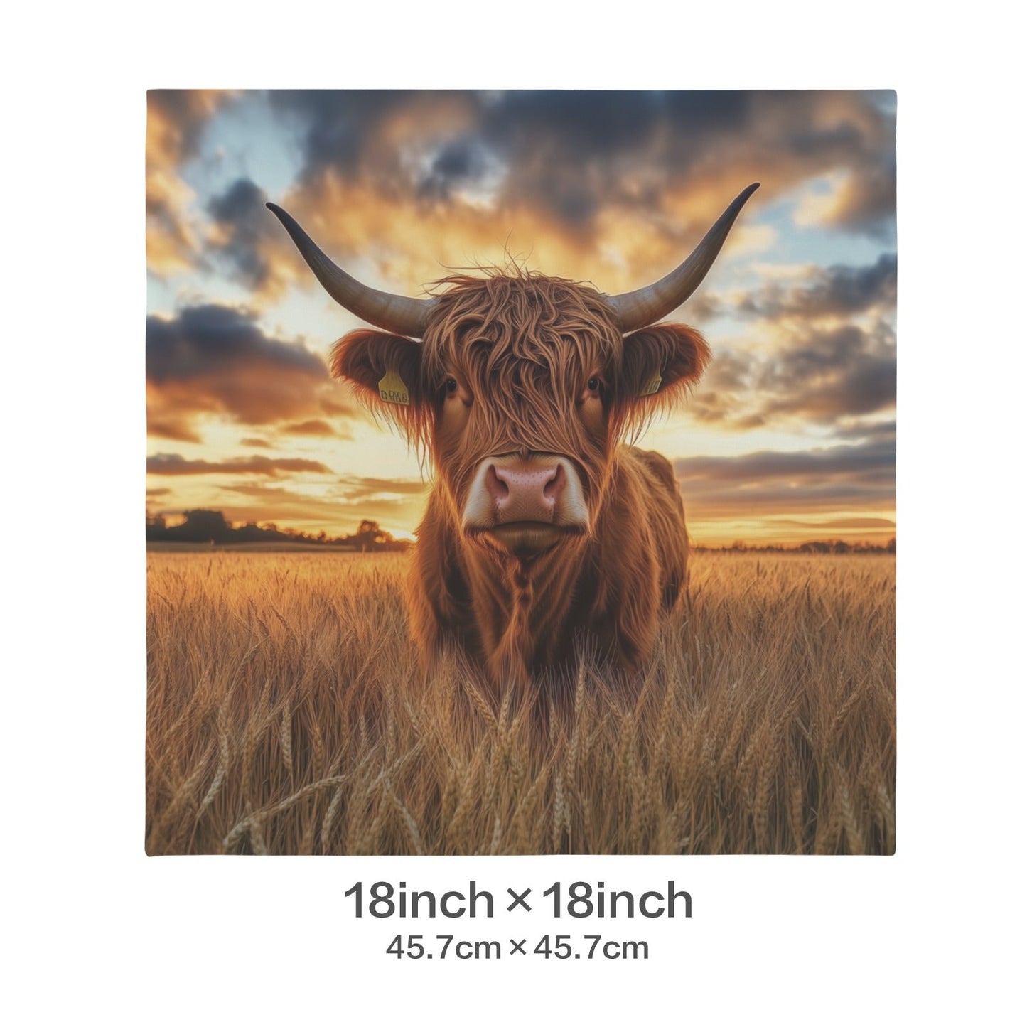Baha Ranch Beautiful Highland Velvety Soft Pillow Case Cover Made in America
