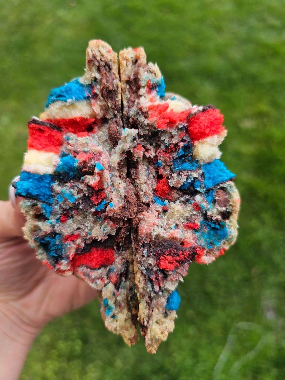 Rainbow Remix Patriotic by My Big Fat Cookie