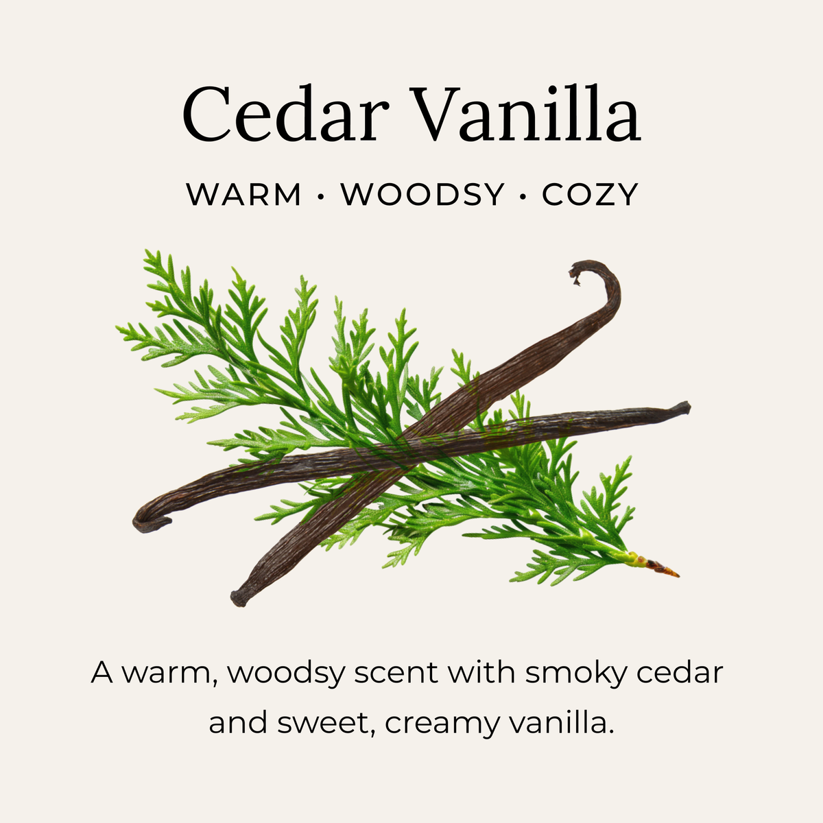 Cedar Vanilla Deodorant Cream BEST Deodarant out there !