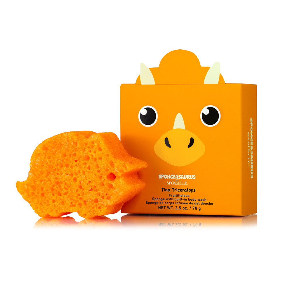 Sally Stegosaurus & Tina Triceratops Dinosaur Set