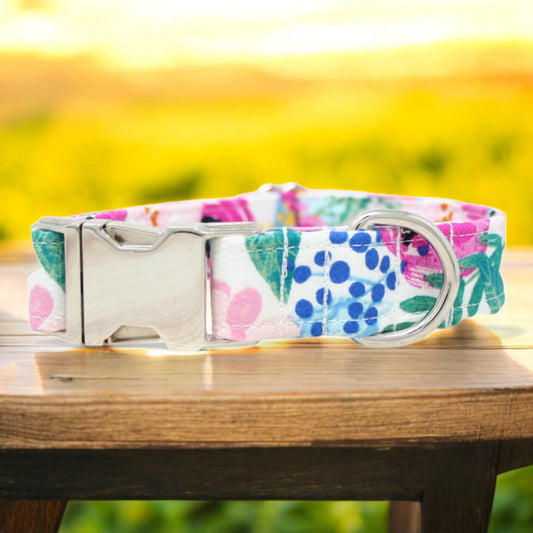 Colorful Floral Watercolor Dog Collar