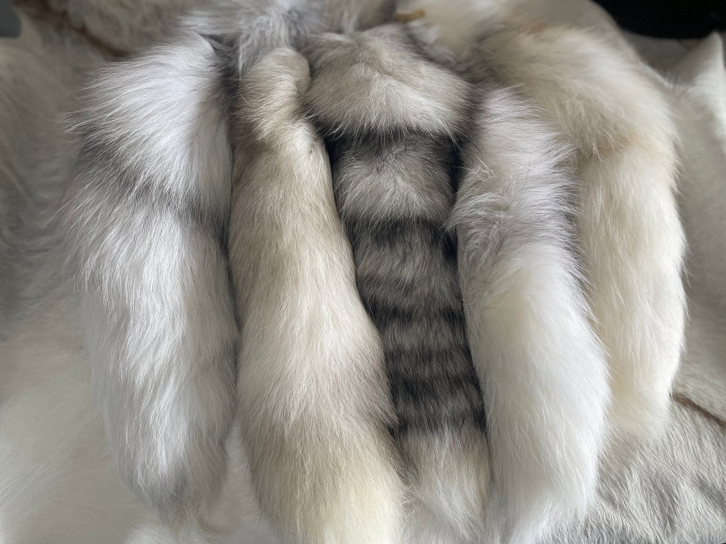 Mutated Fox Tails