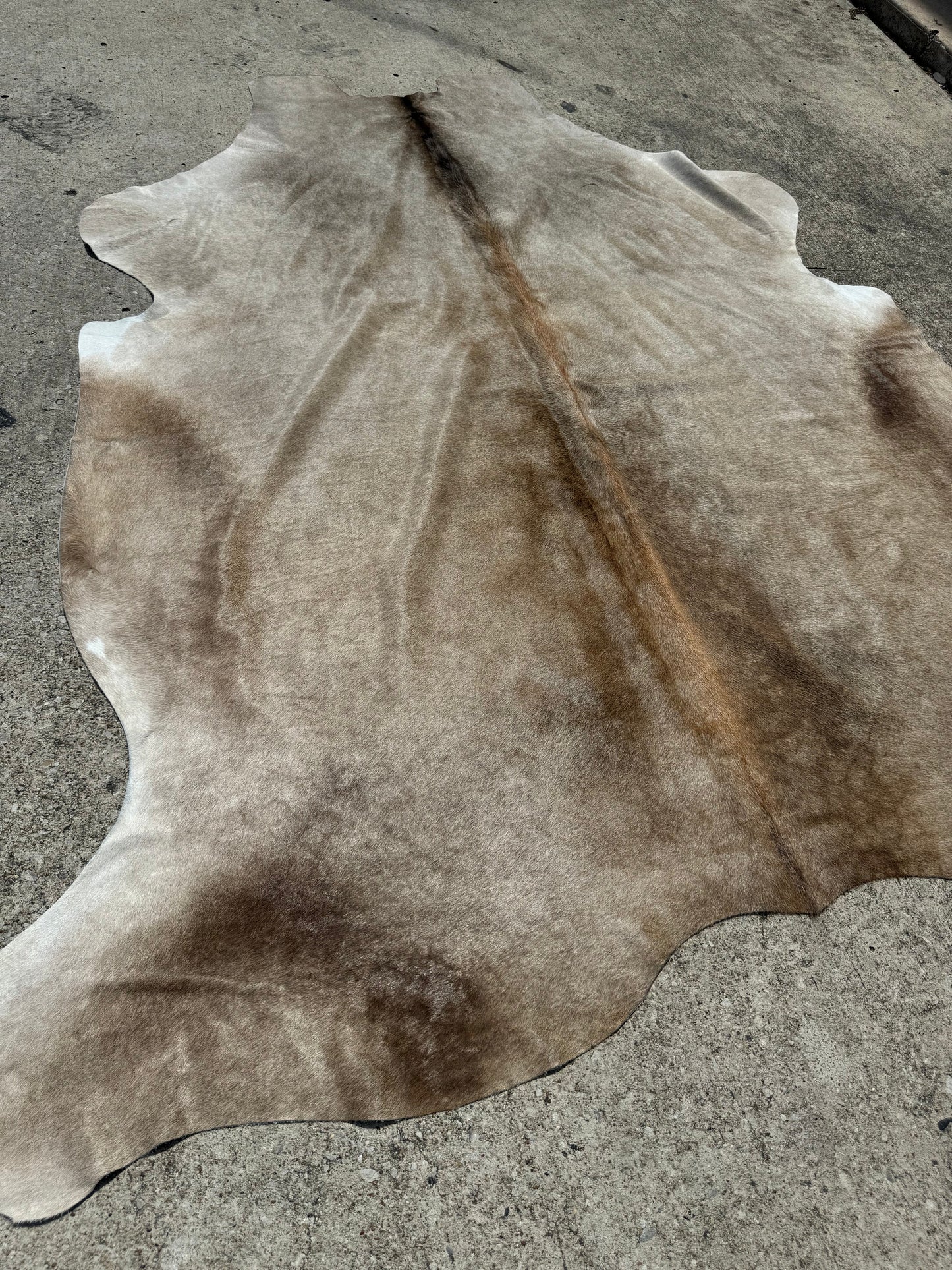 Medium Champagne cowhide