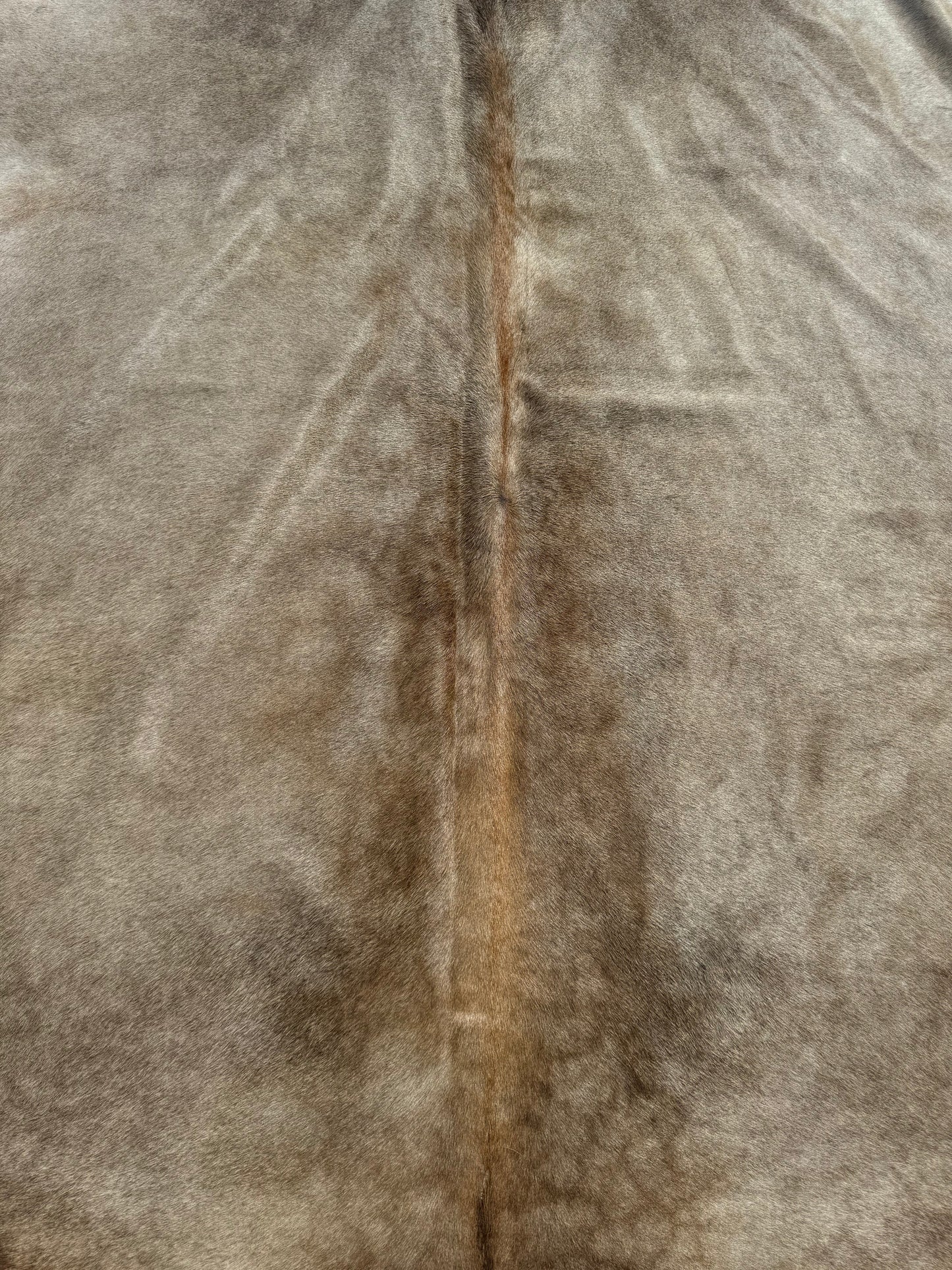 Medium Champagne cowhide