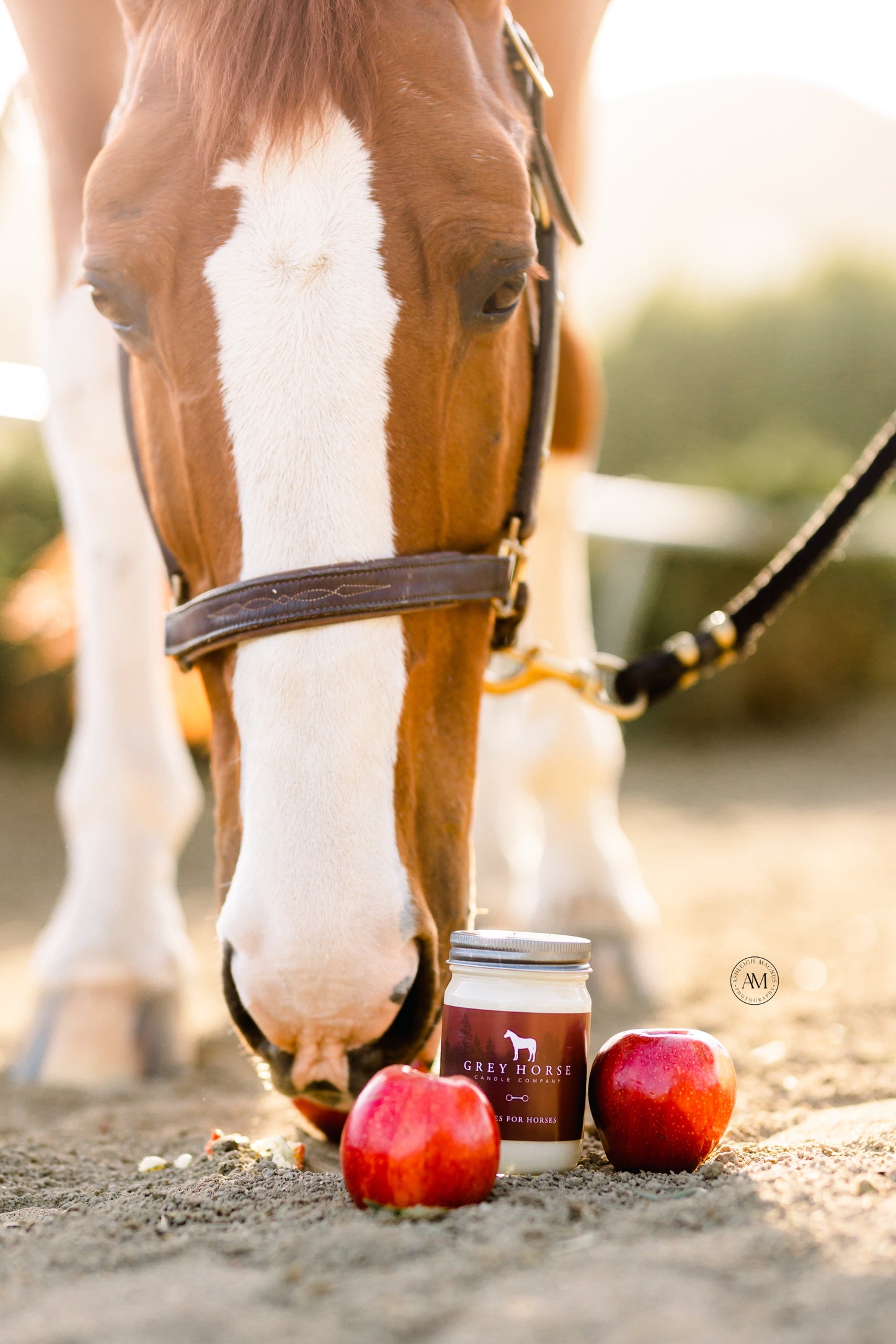 APPLES FOR HORSES