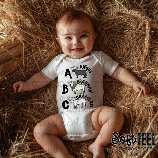 A Is For Angus Cattle - youth country western - Direct To Film Transfer / DTF - Heat Press Clothing Transfer