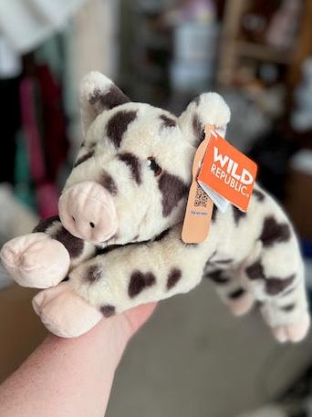 Stuffed Toy Pig - Wild Republic