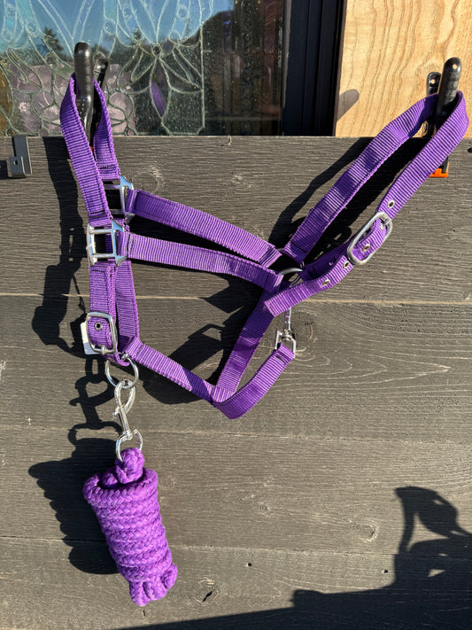 Nylon Horse Size Halter and 8 Foot lead rope