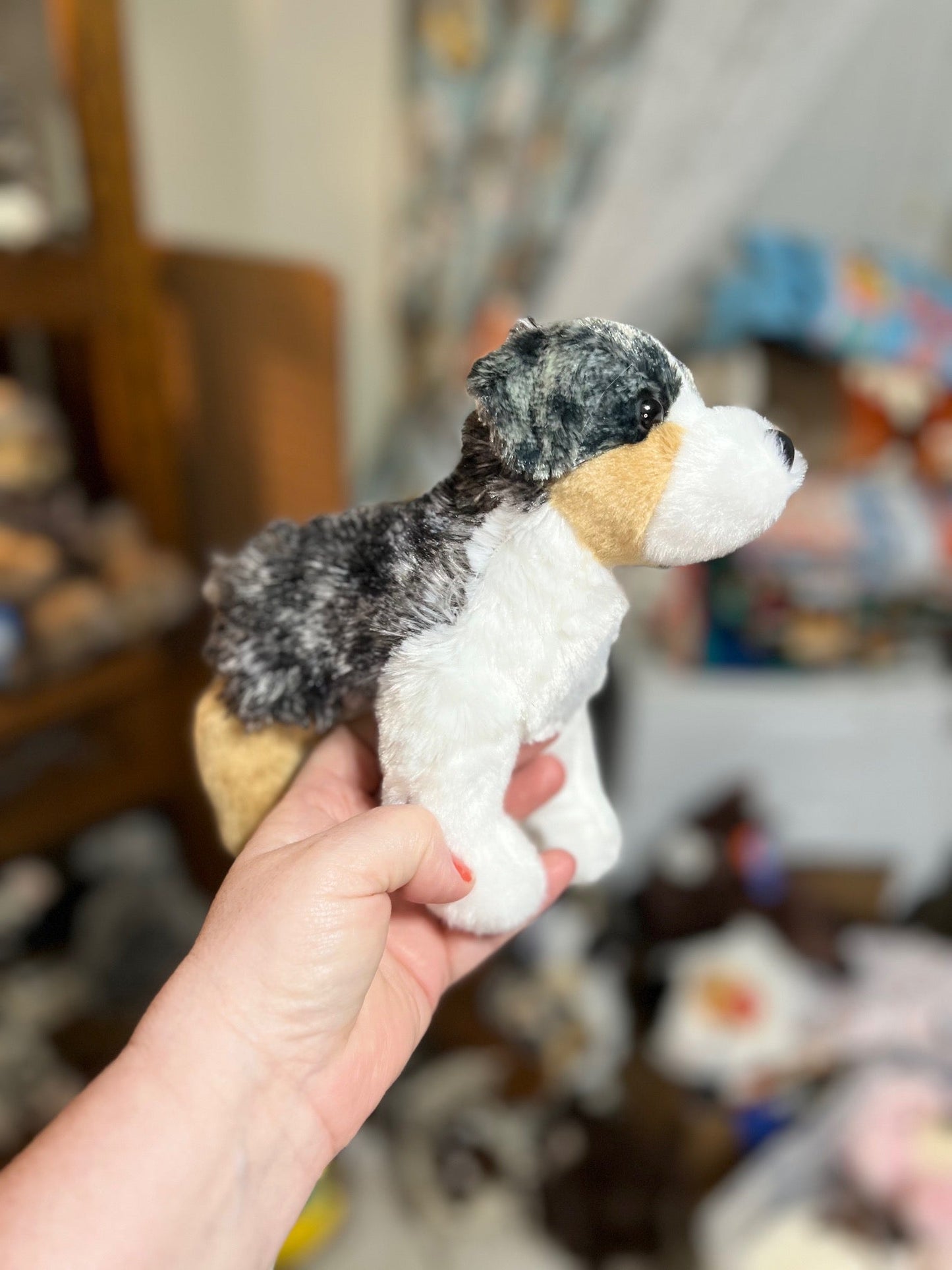 Douglas Aussie Soft Plushie - 8 inch