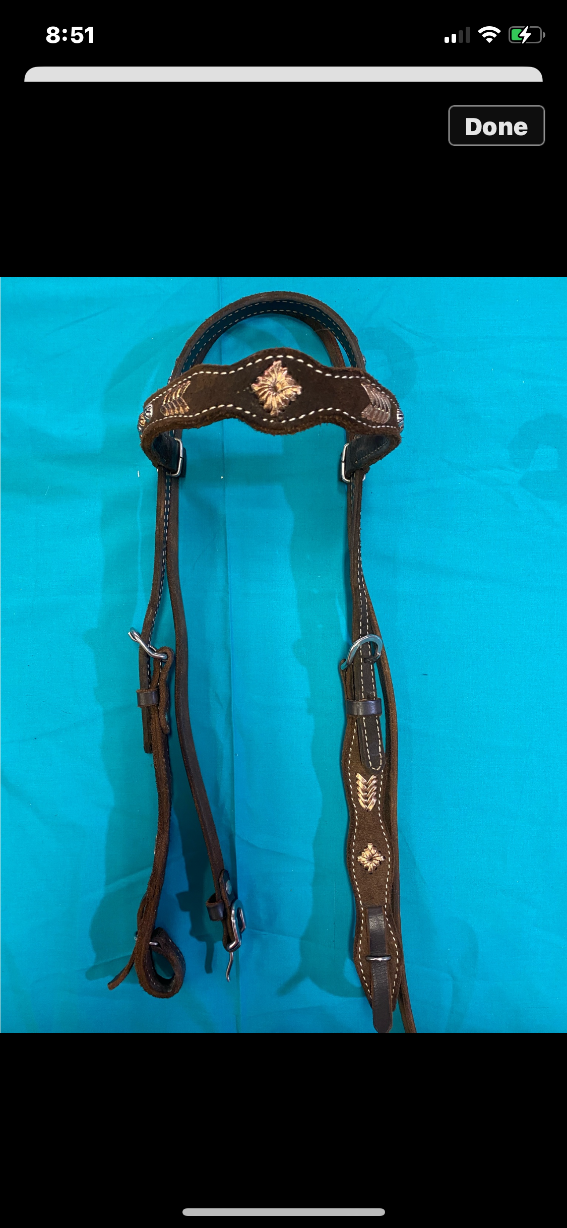 Dark Chocolate Headstall and Breast Collar Consignment